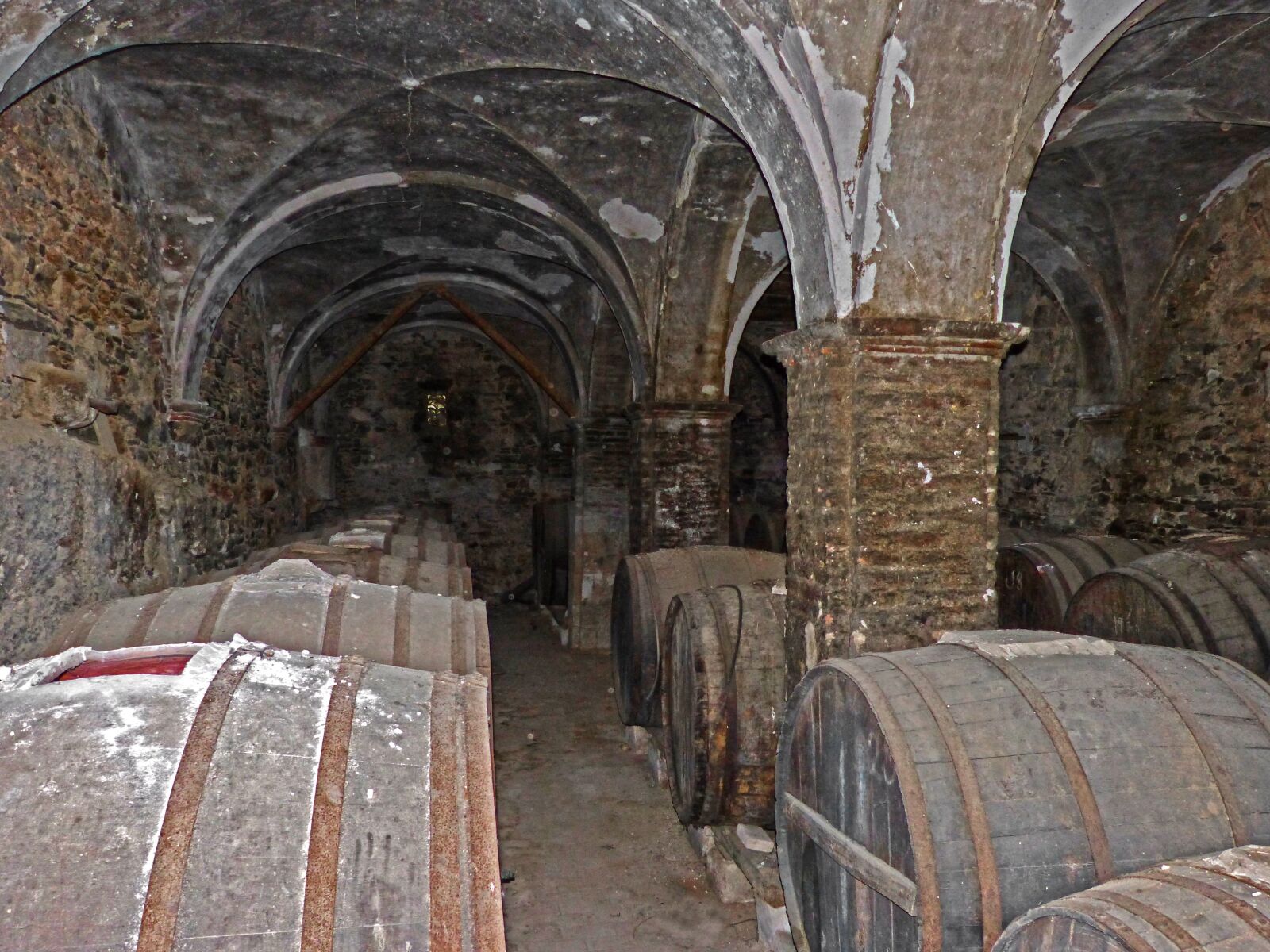 Panasonic DMC-FZ62 sample photo. Winery, casks, arcades photography