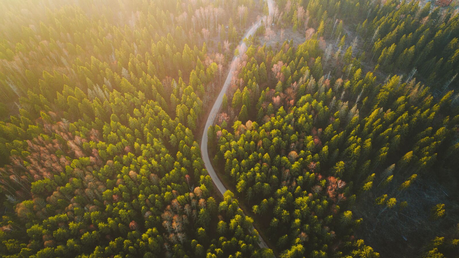 DJI FC6310 sample photo. Sun, sunset, outdoors photography