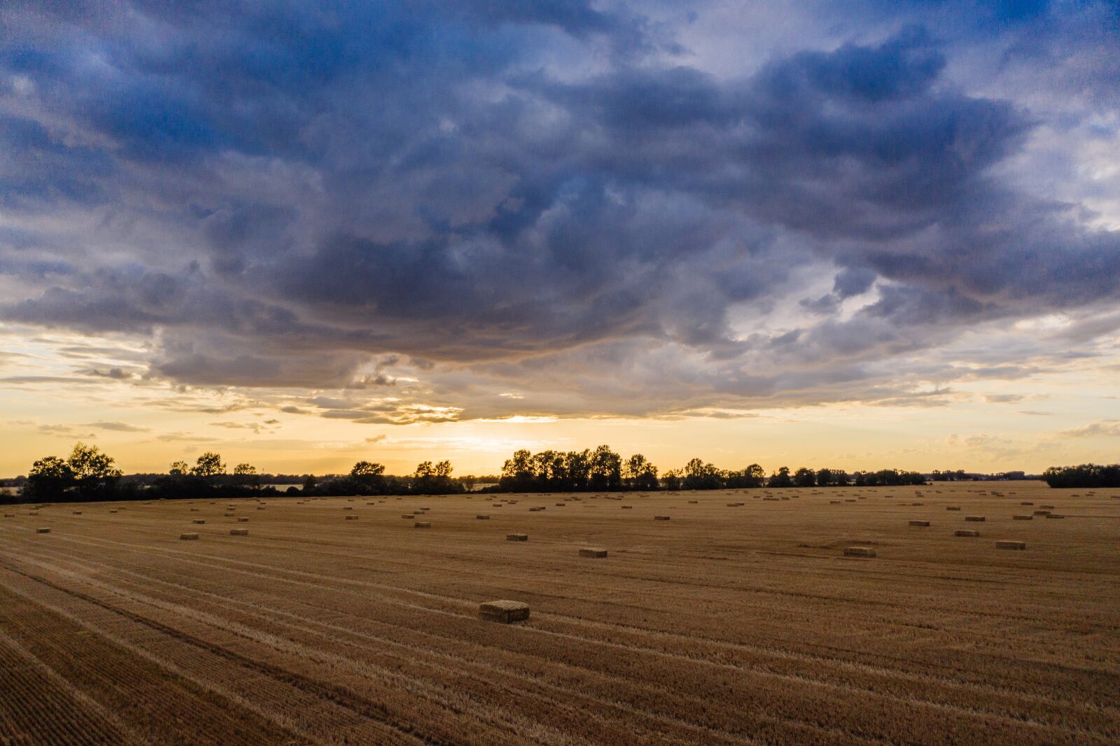 Hasselblad L1D-20c sample photo. Agriculture, europe, poland photography