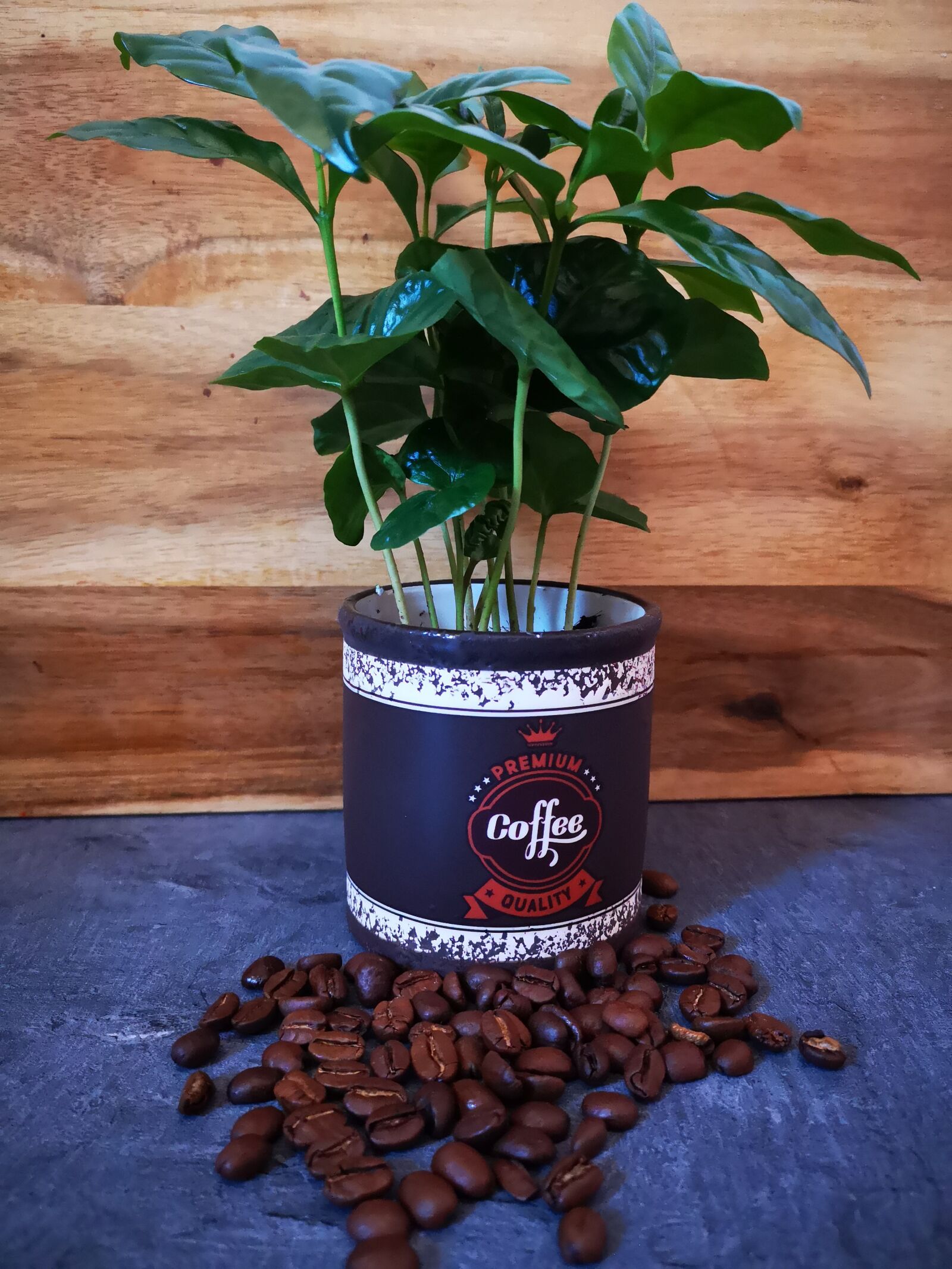 HUAWEI P20 sample photo. Coffee, coffee beans, beans photography