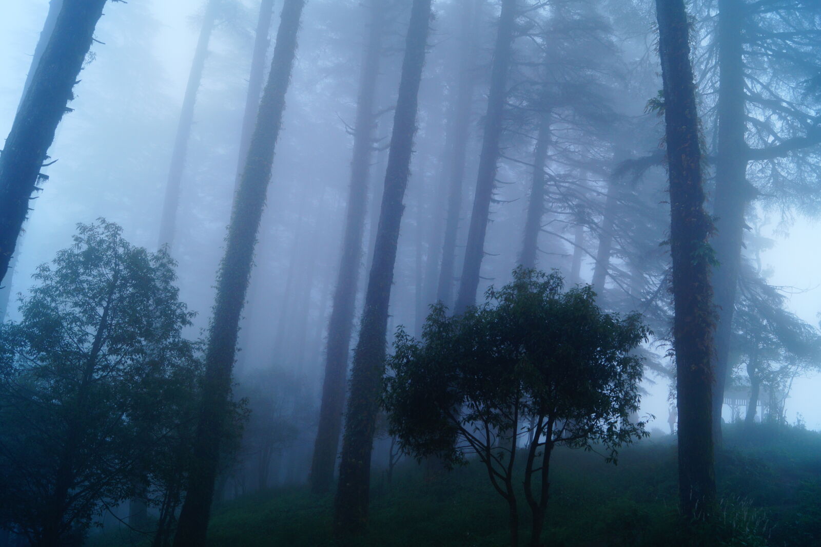 Sony DT 18-55mm F3.5-5.6 SAM II sample photo. Gray, mountain, mist photography