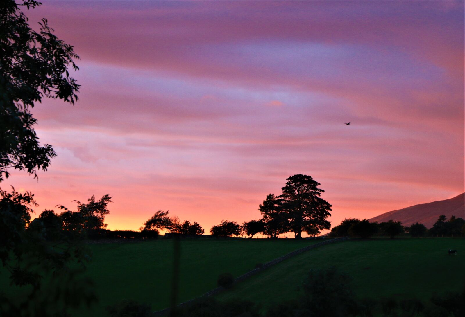 Canon EOS 70D sample photo. Sunset, evening, dusk photography