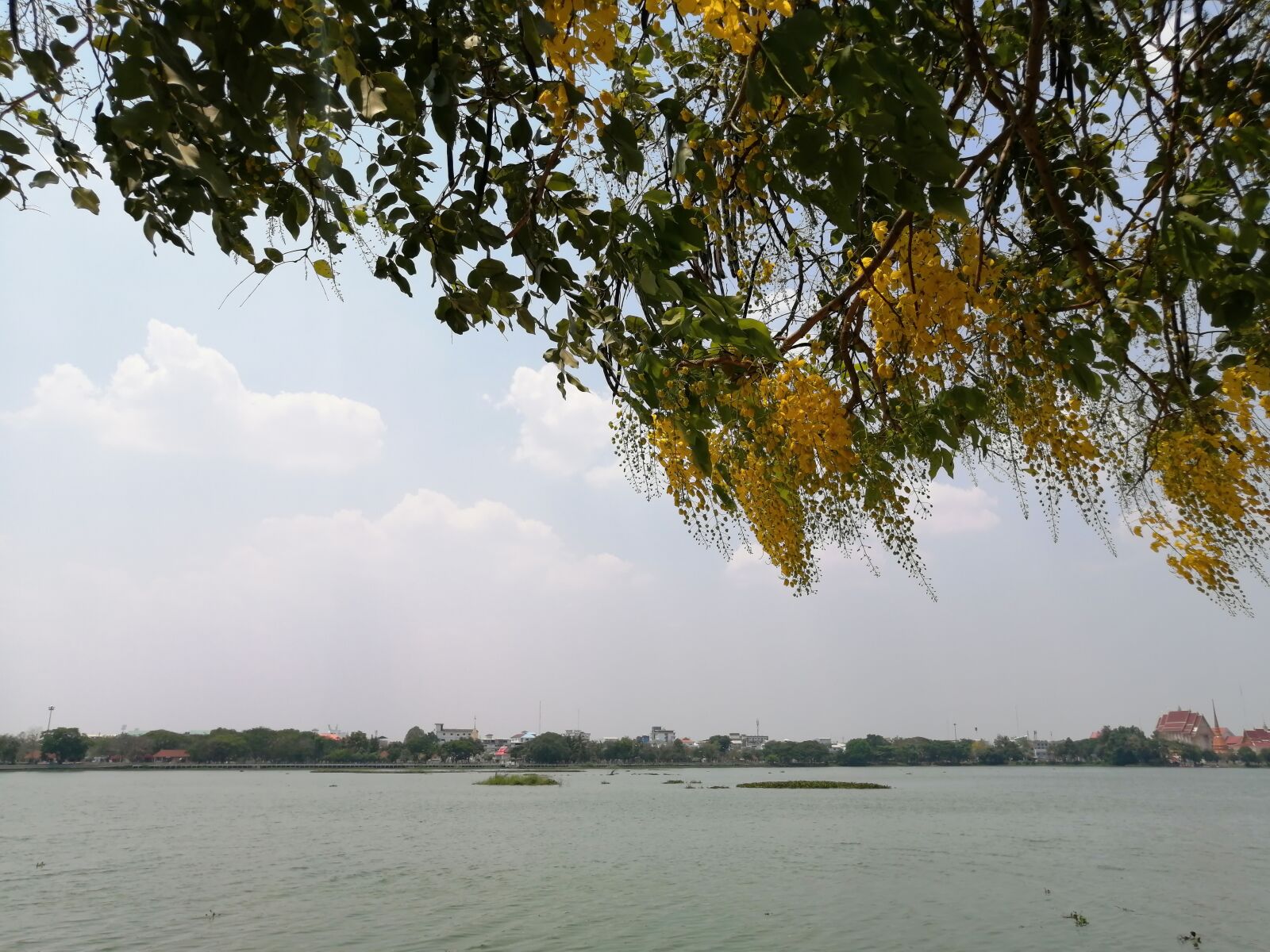HUAWEI P30 LITE sample photo. Khonkaen, thailand, travel photography