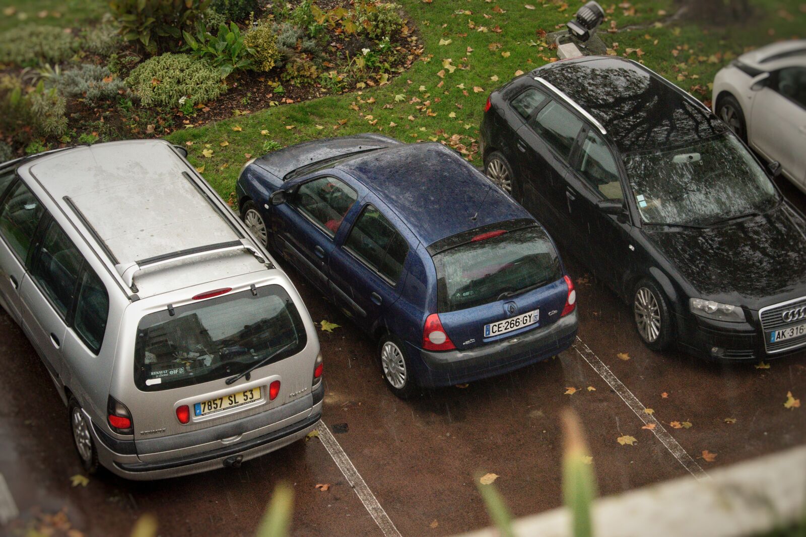 Nikon D3300 sample photo. Car, renault, clio photography