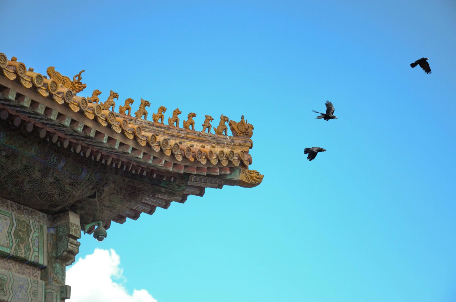 Nikon D7000 sample photo. The national palace museum photography