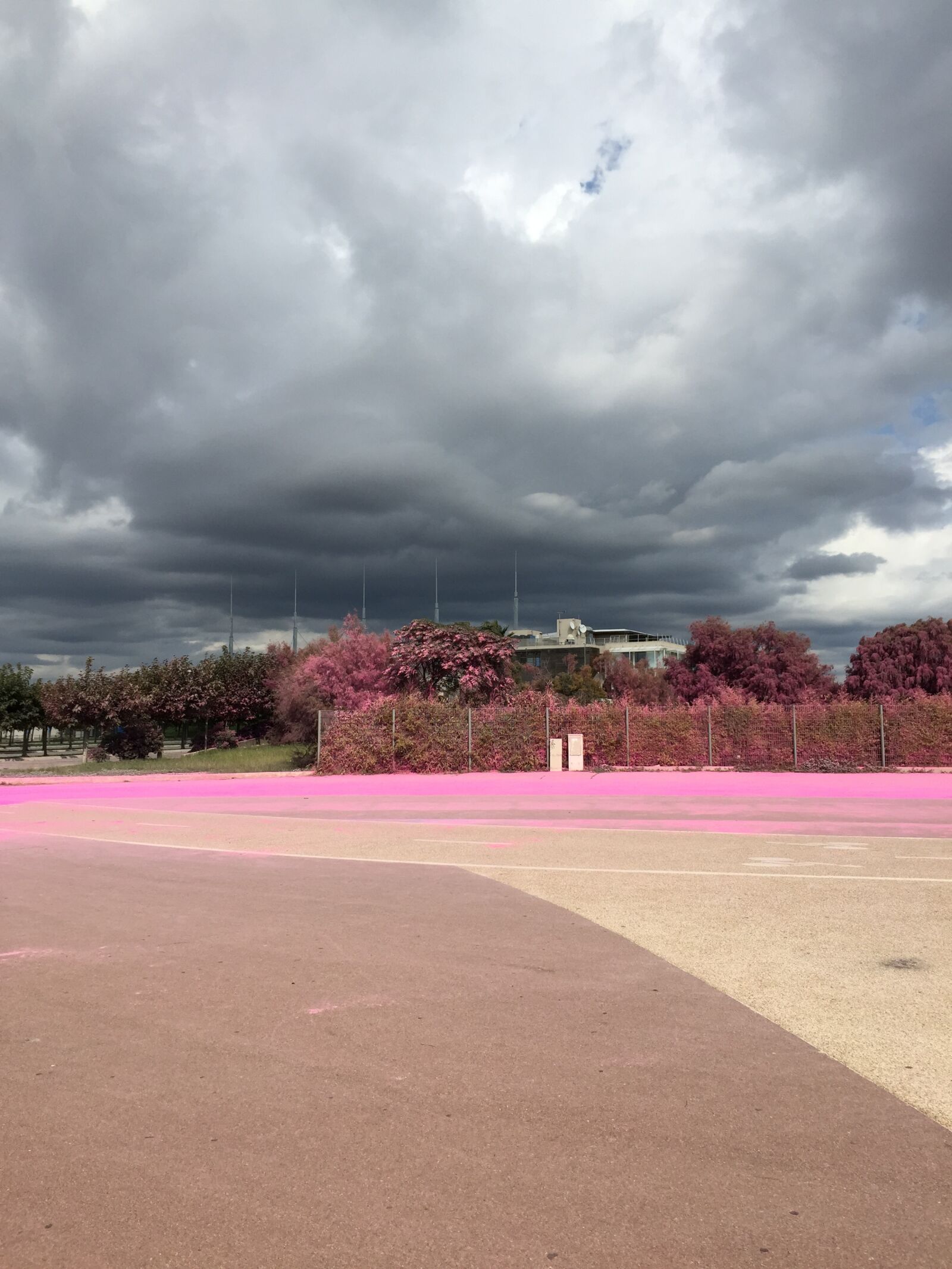 Apple iPhone 6 sample photo. Pink, pink dust, thunderstorm photography
