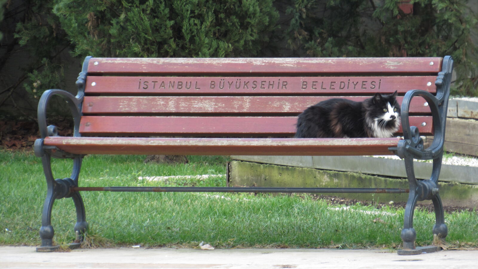 Canon PowerShot SX520 HS sample photo