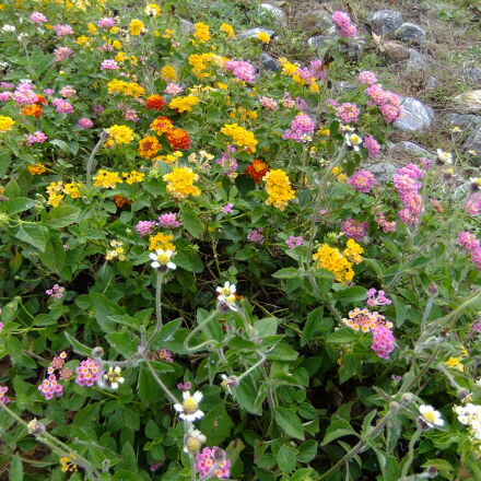 FujiFilm FinePix F80EXR (FinePix F85EXR) sample photos - ExploreCams