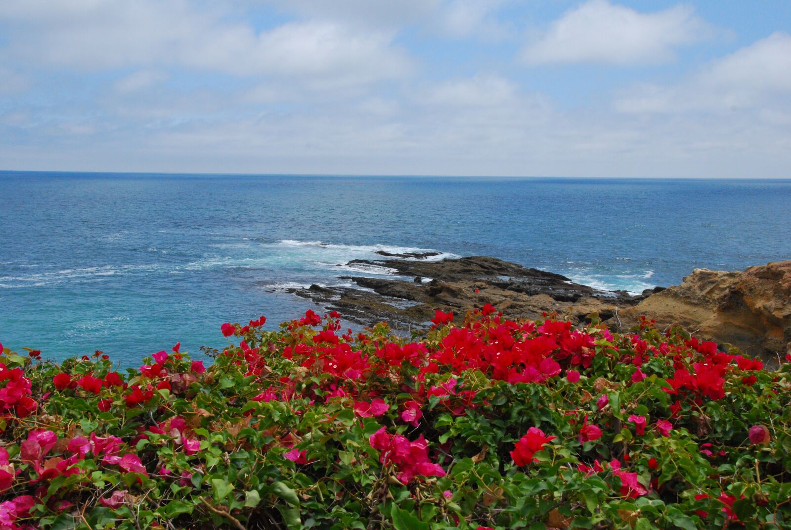 Nikon D60 sample photo. Ocean, coast, beach photography