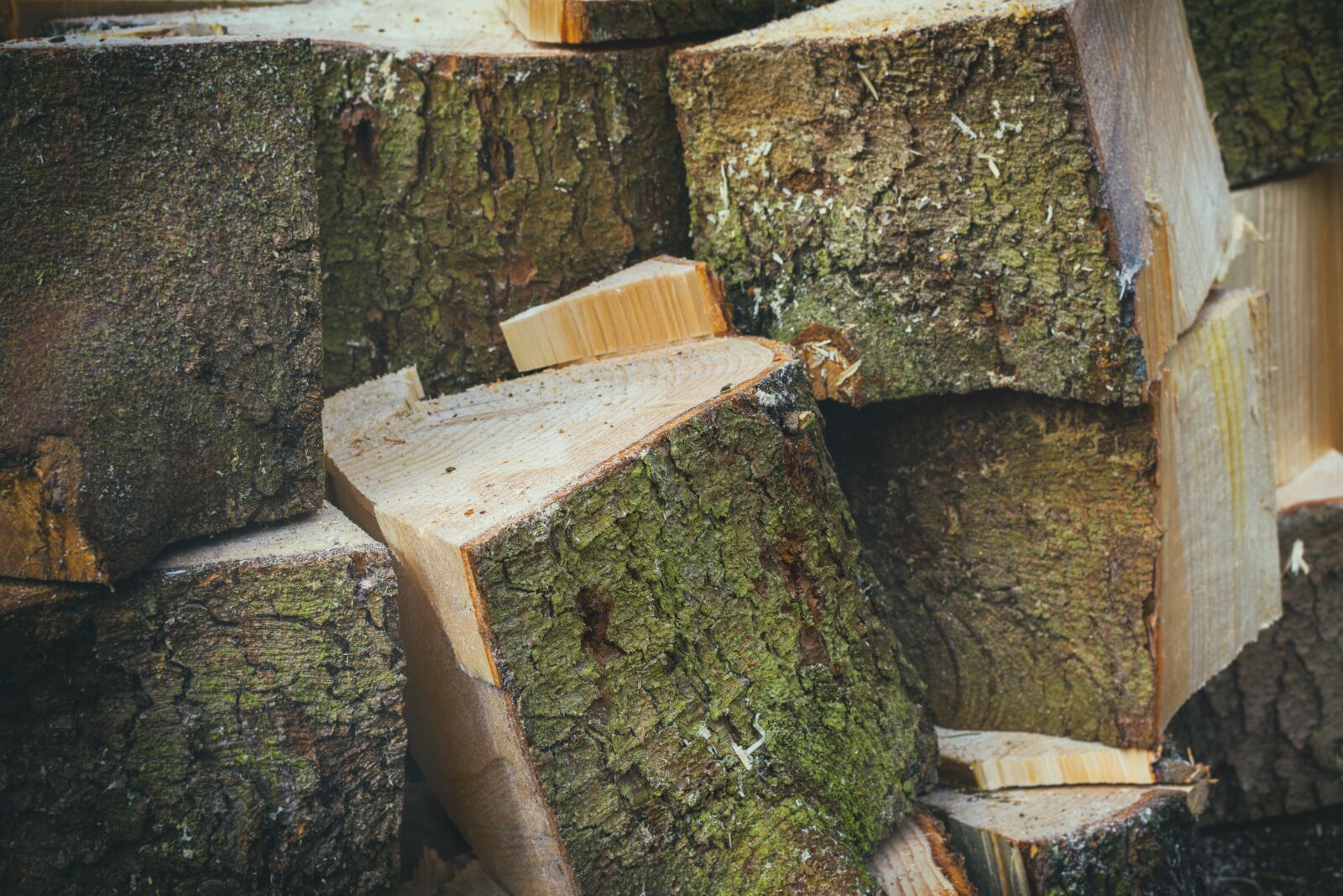 Nikon D7200 sample photo. Wood, firewood, holzstapel photography