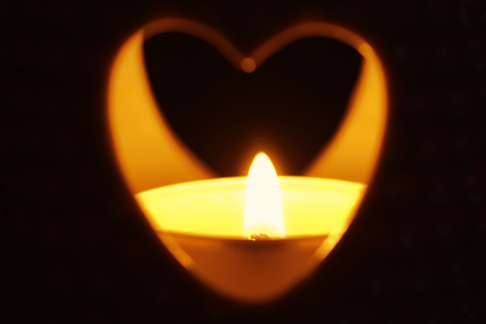 Tamron SP 90mm F2.8 Di VC USD 1:1 Macro sample photo. Heart, love, flame photography