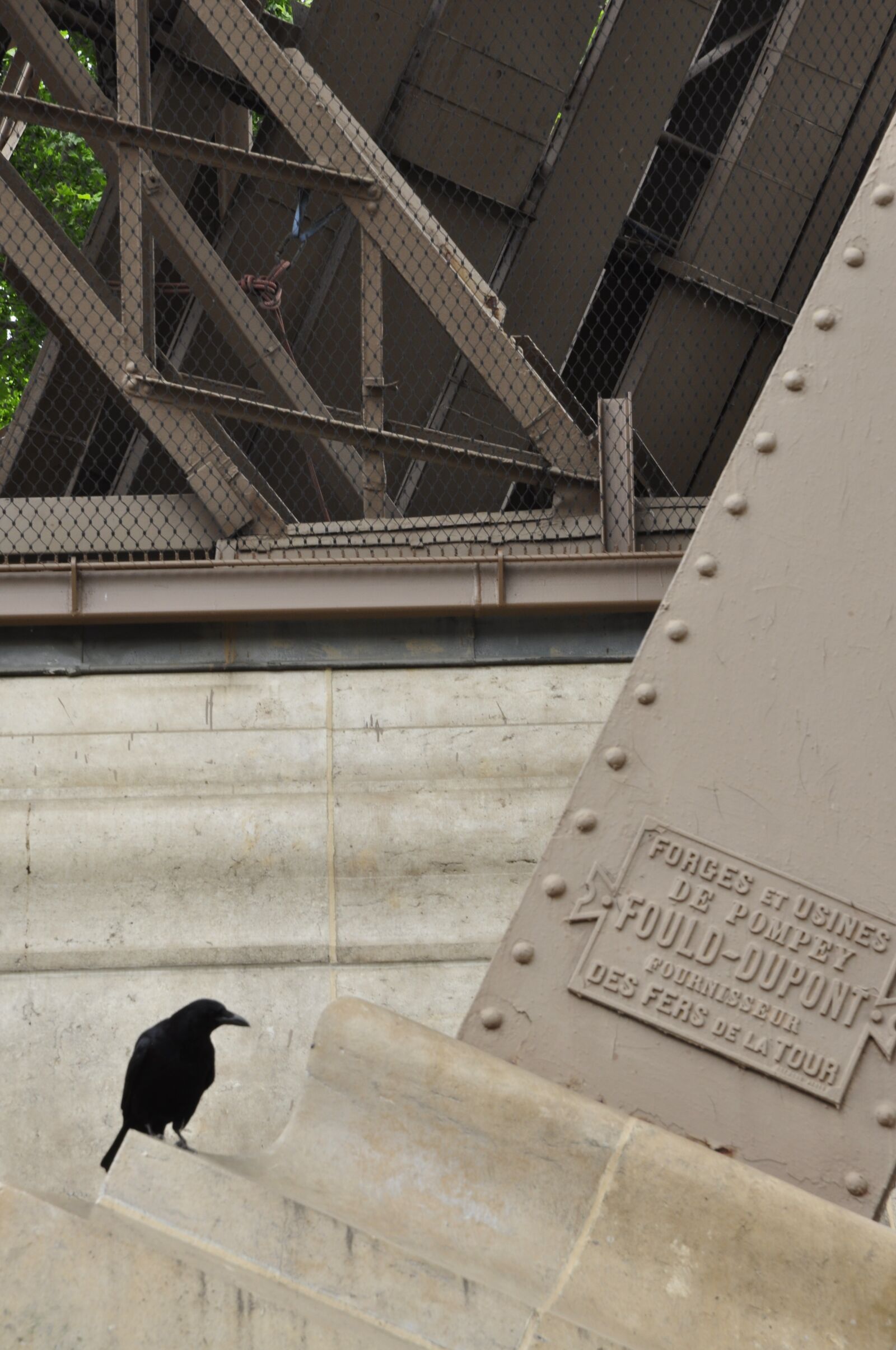 Nikon D90 sample photo. Paris, bird, eiffel photography