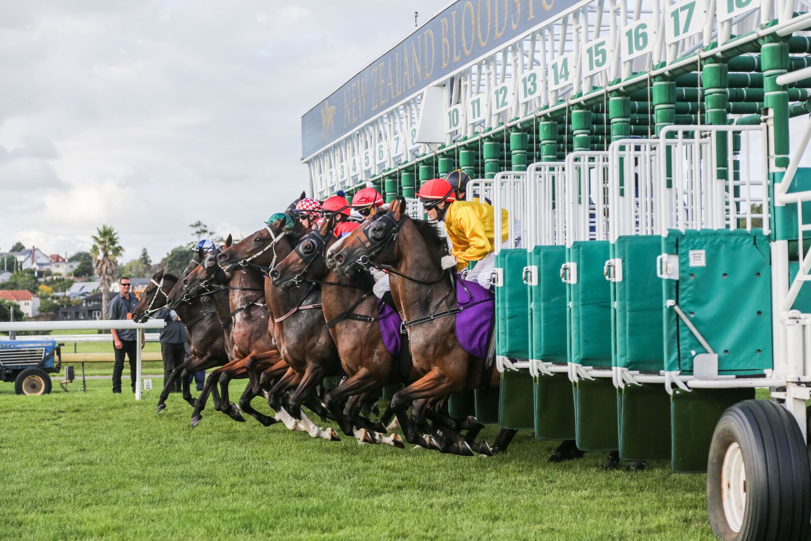 Canon EF 24-105mm F4L IS USM sample photo. Horse, racing, horse racing photography