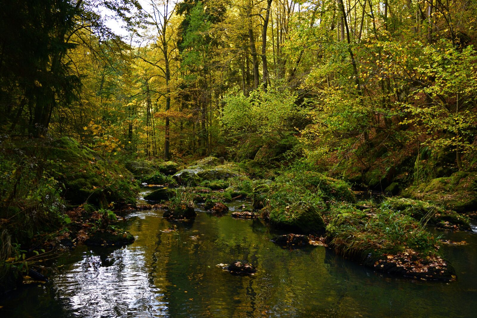 Nikon D5200 sample photo. Nature, autumn, landscape photography