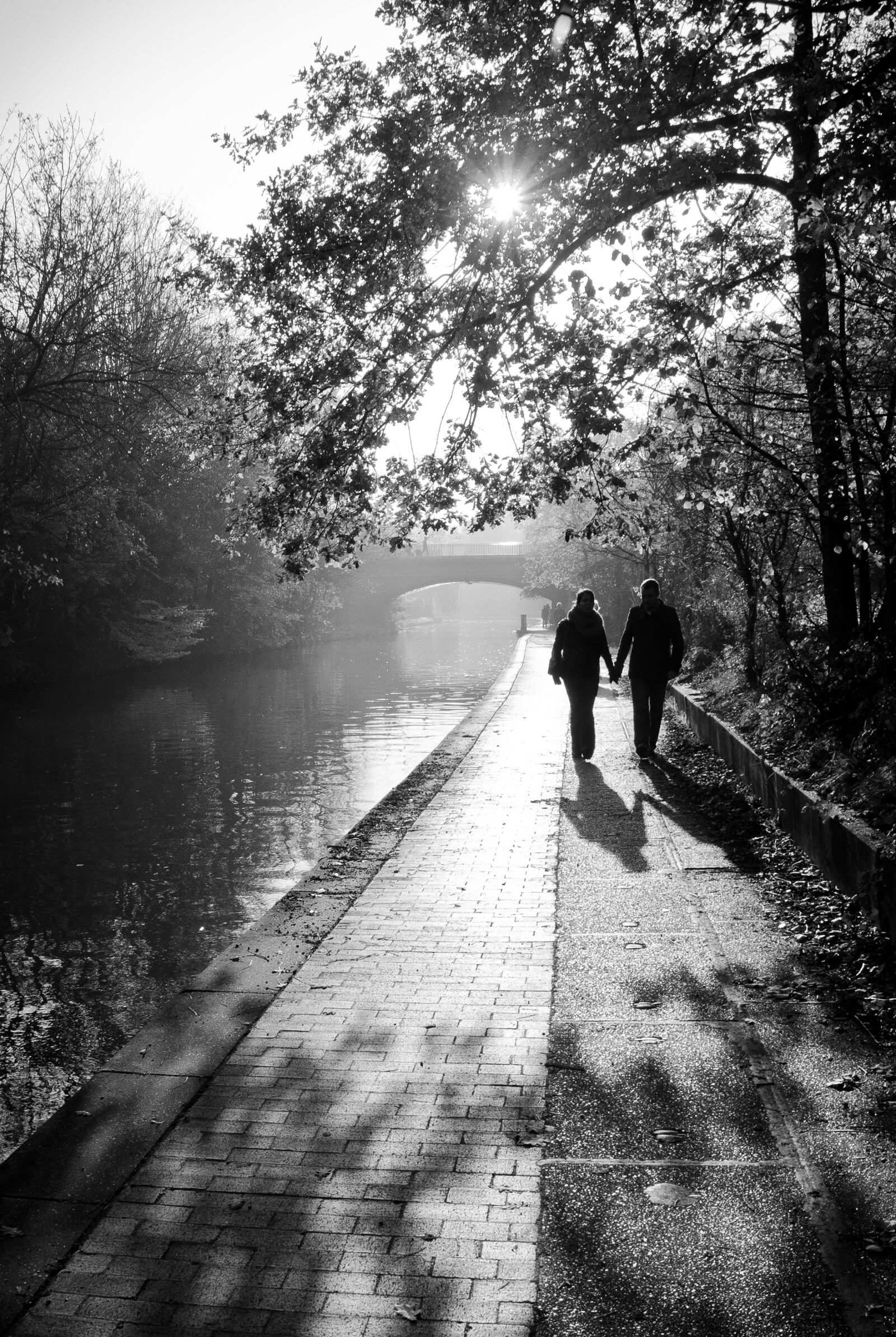 Nikon D7000 sample photo. Walk, lovers, couple photography