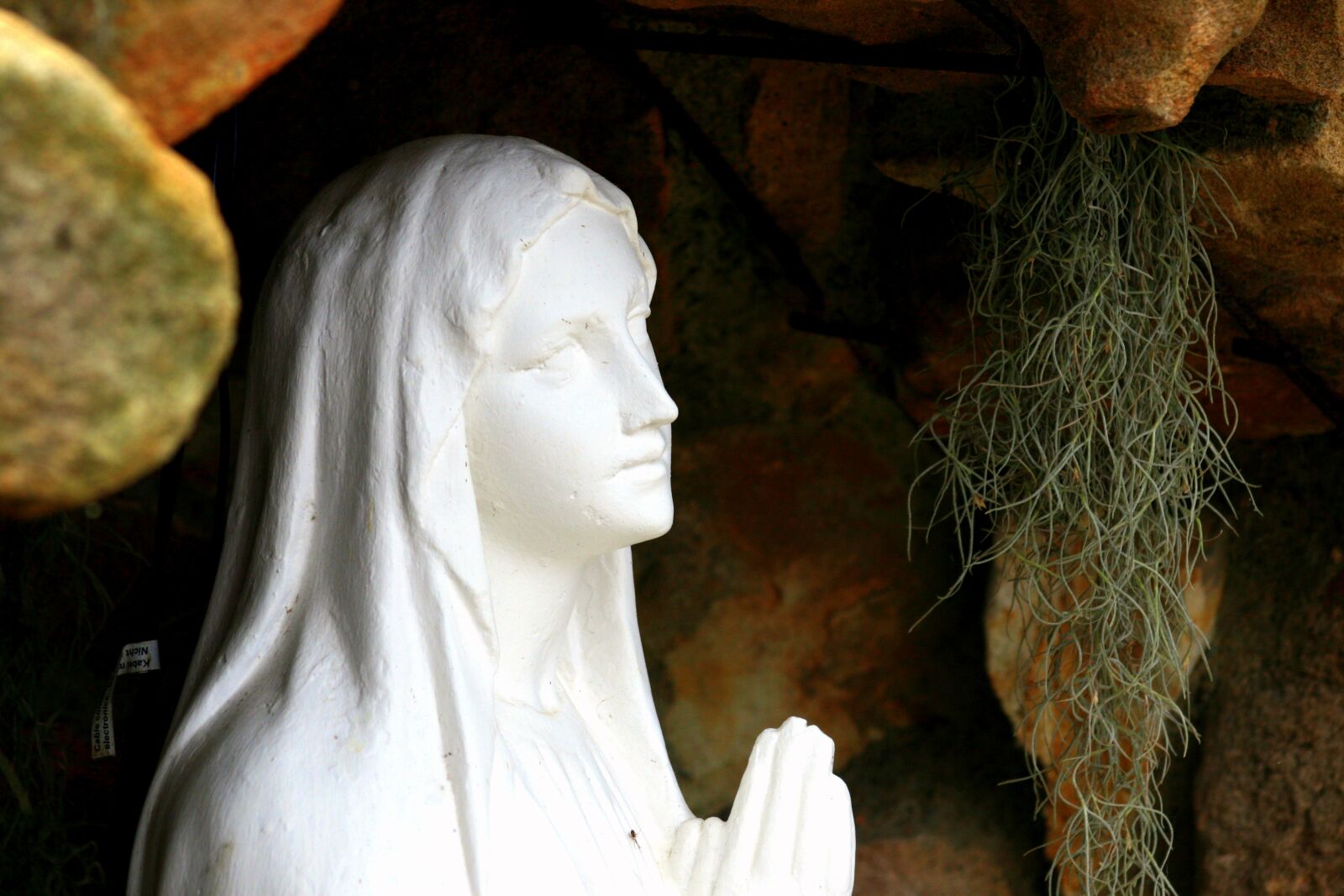Canon EOS 400D (EOS Digital Rebel XTi / EOS Kiss Digital X) sample photo. Mary, grotto, statue photography