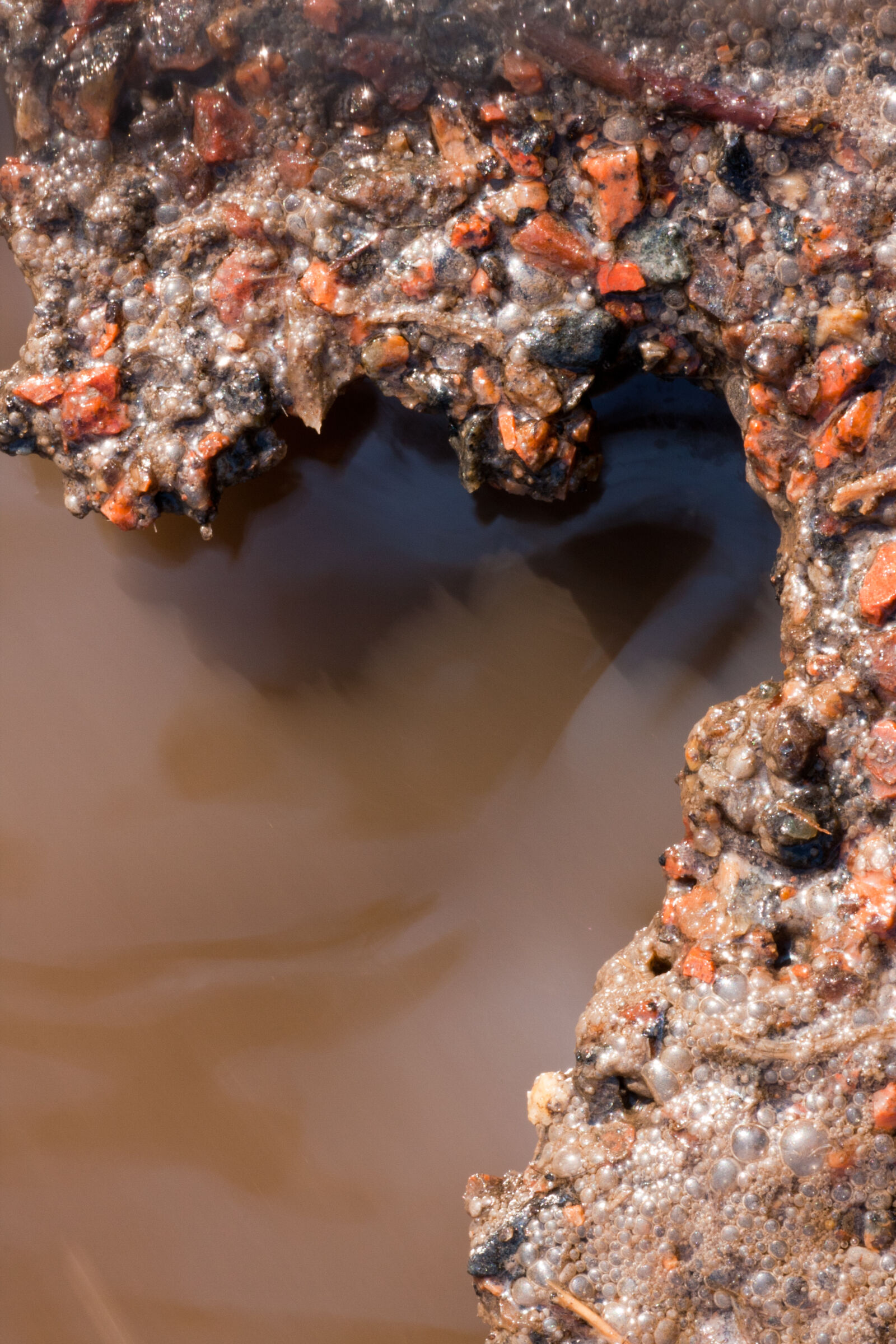 Canon EF 180mm F3.5L Macro USM sample photo