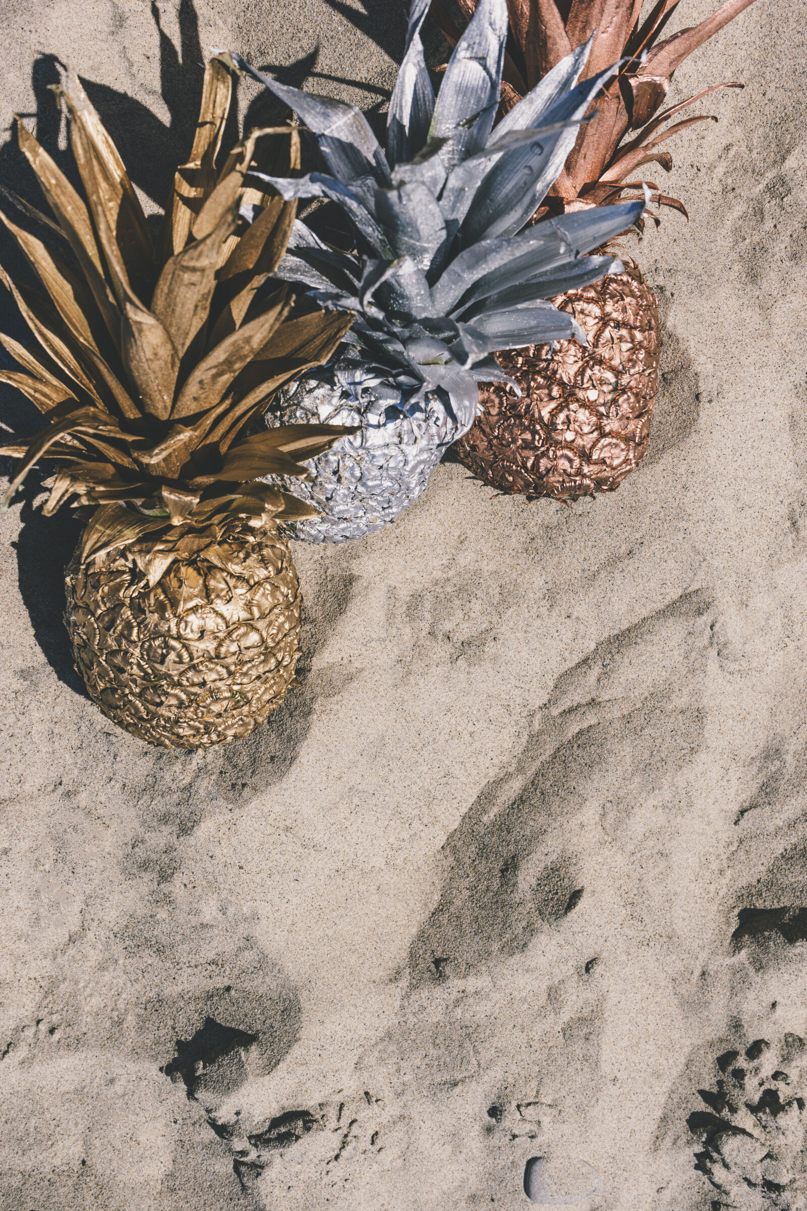 Sony a7 II + Sony FE 28-70mm F3.5-5.6 OSS sample photo. Art, beach, beachlife, bronze photography