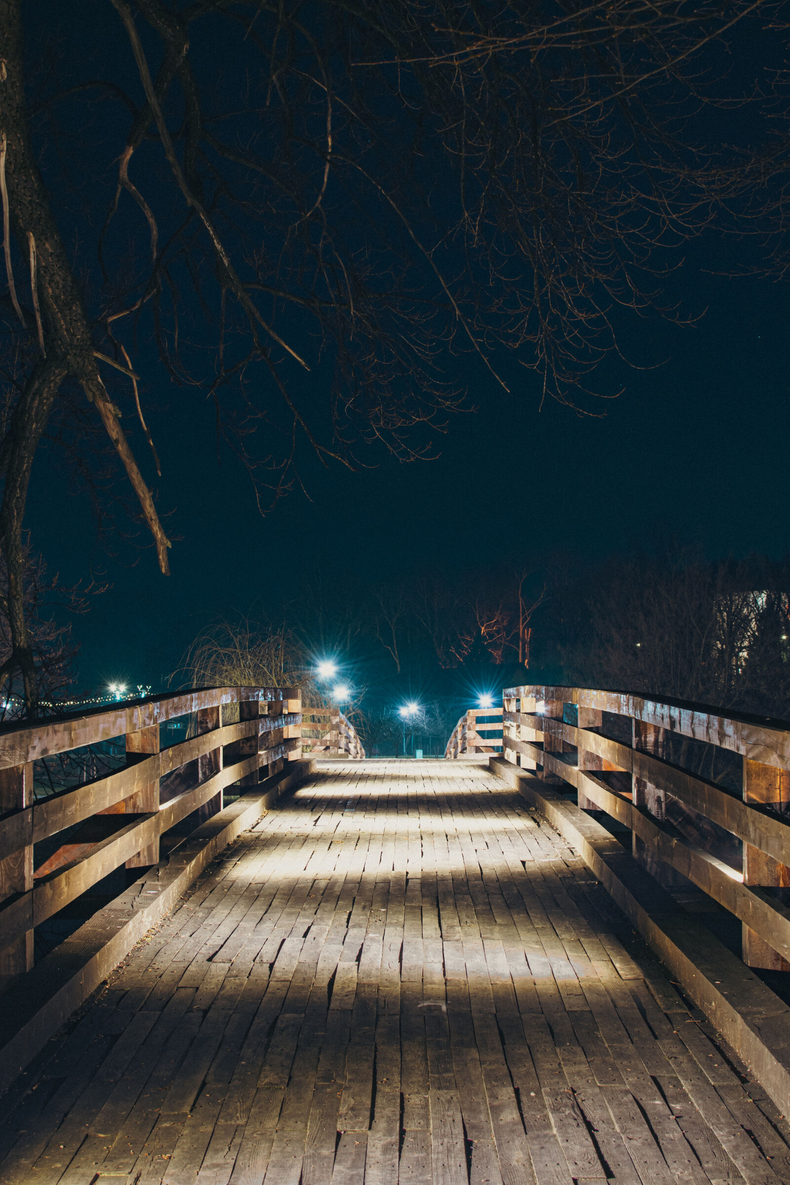 Nikon D3300 sample photo
