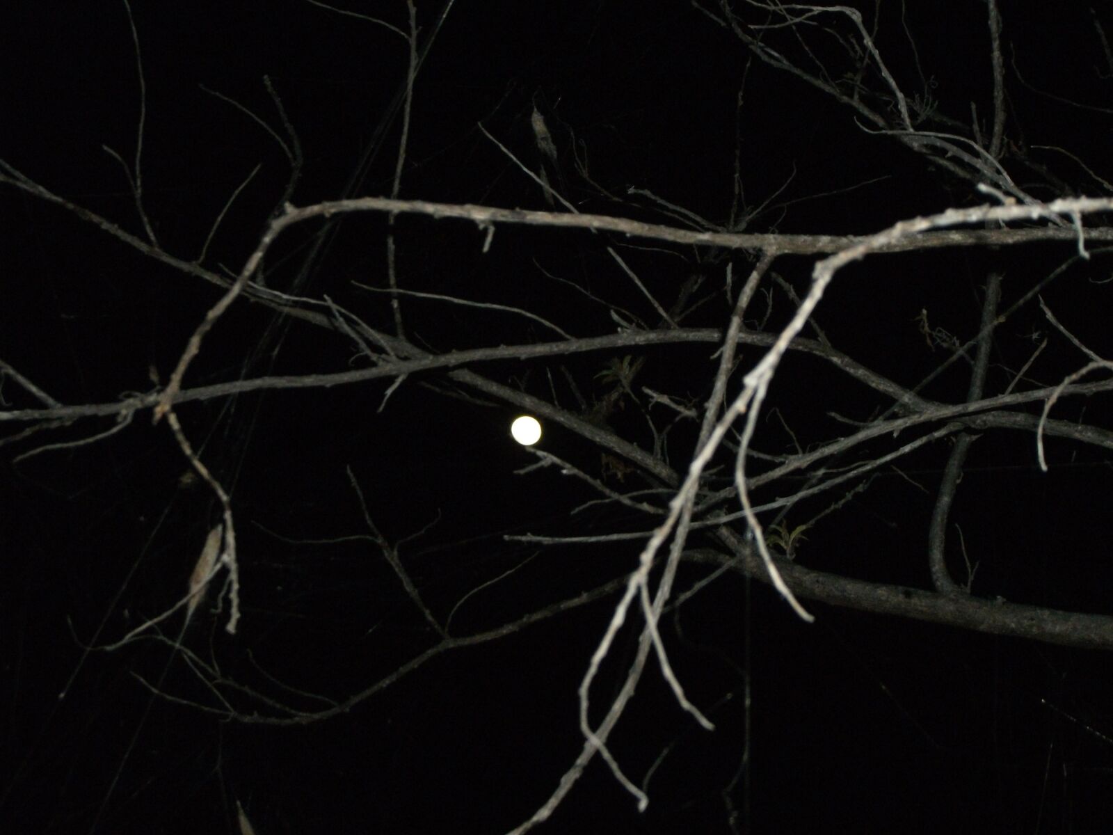 Fujifilm FinePix AV100 sample photo. Moon, night, halloween photography