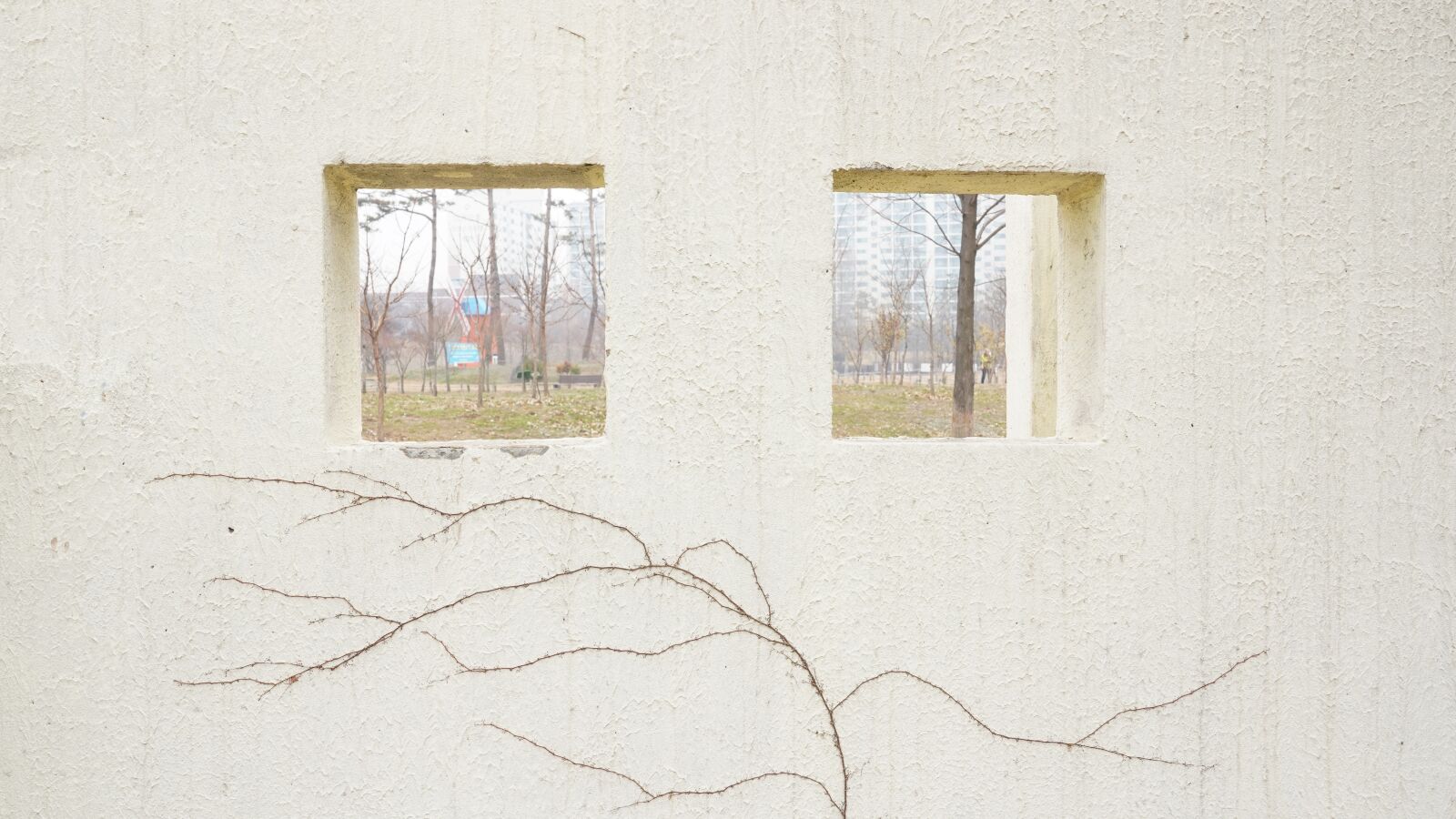 Sony FE 24-105mm F4 G OSS sample photo. Walls, windows, plants photography