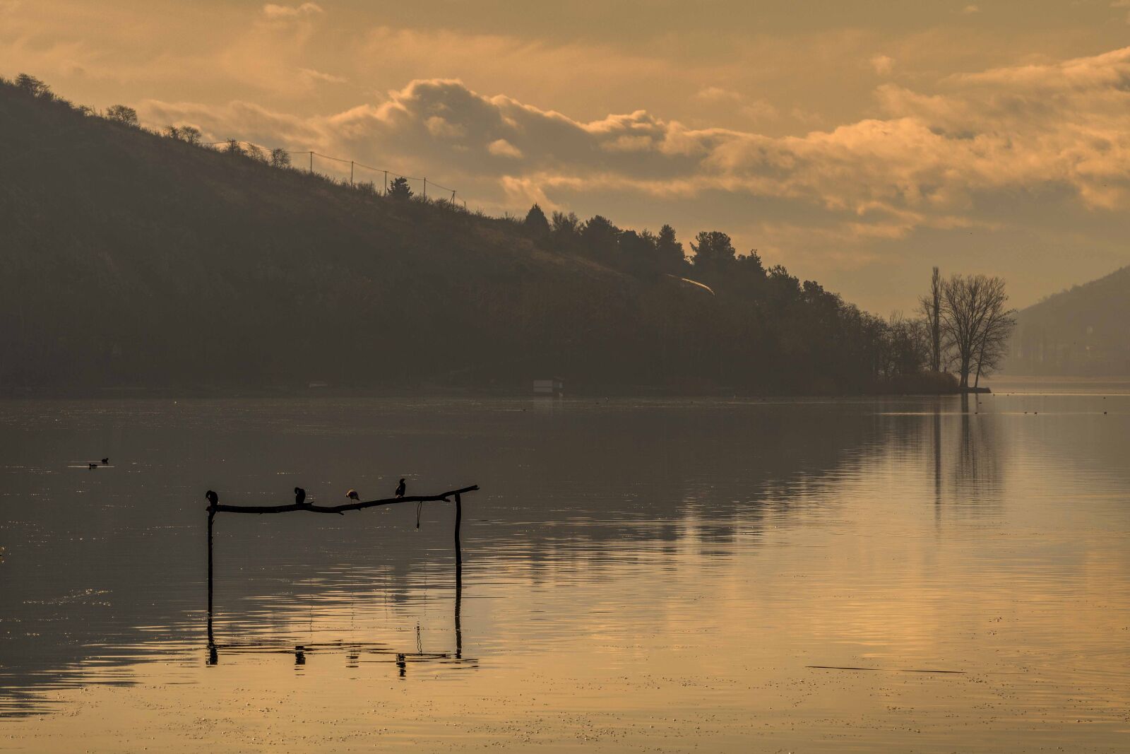 Nikon D5300 sample photo. Boats, fog, water photography