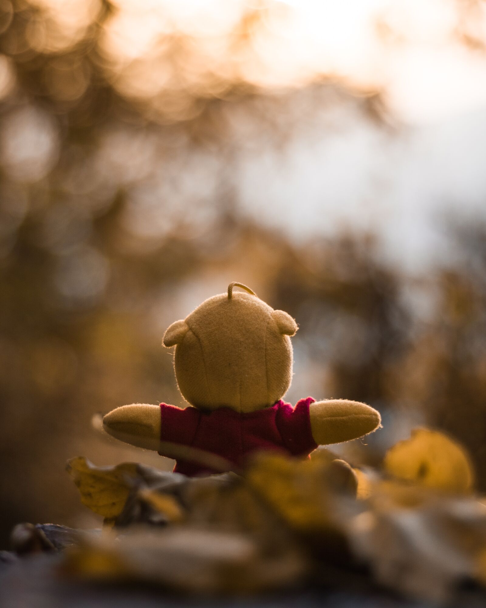 Canon EF 50mm F1.8 STM sample photo. Pu the bear, soft photography