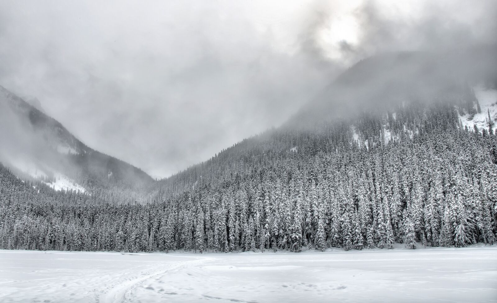 Nikon D5000 sample photo. Bc, british columbia, canada photography