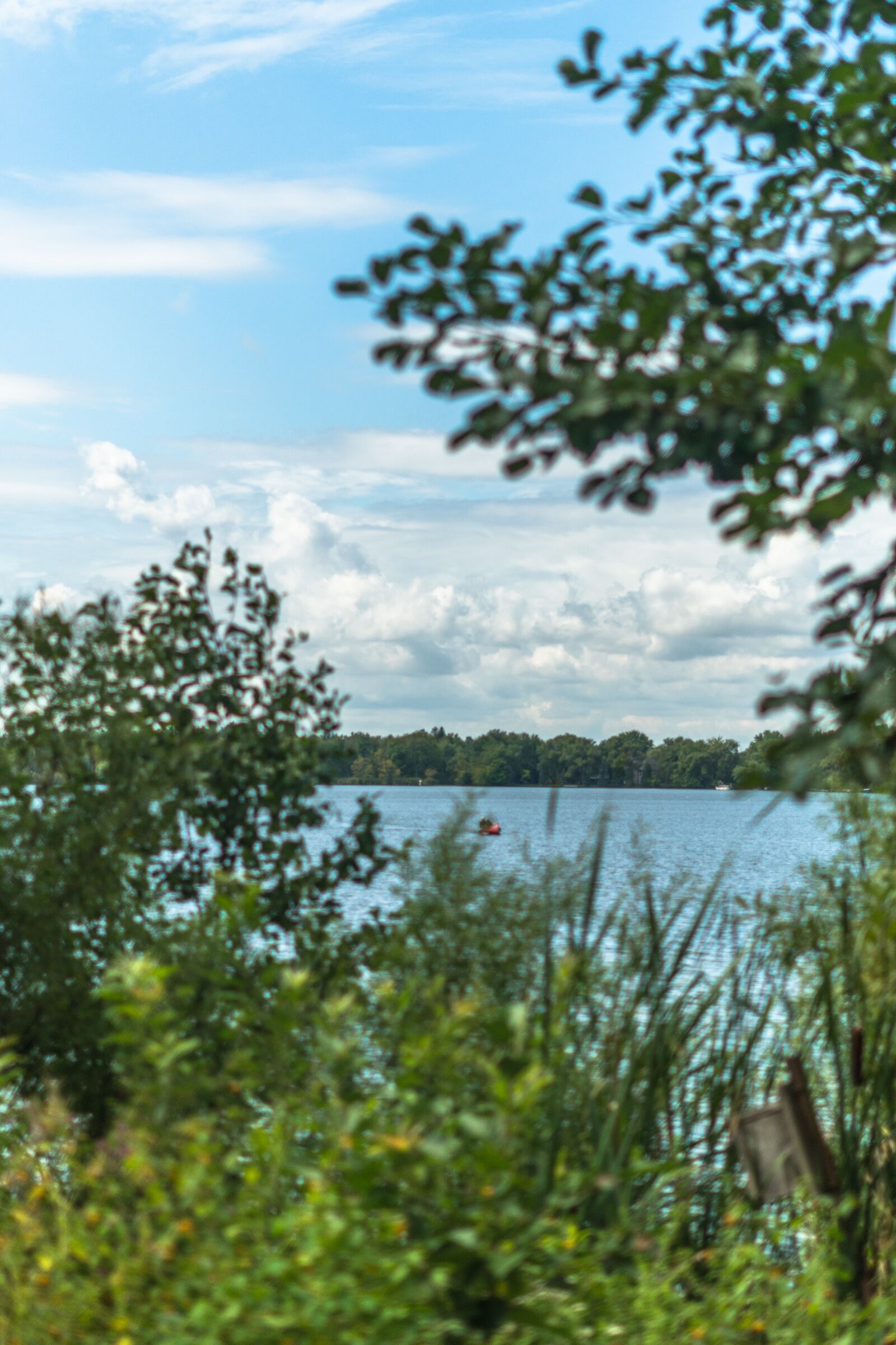 Sony FE 50mm F1.8 sample photo. Water park, nature, tree photography