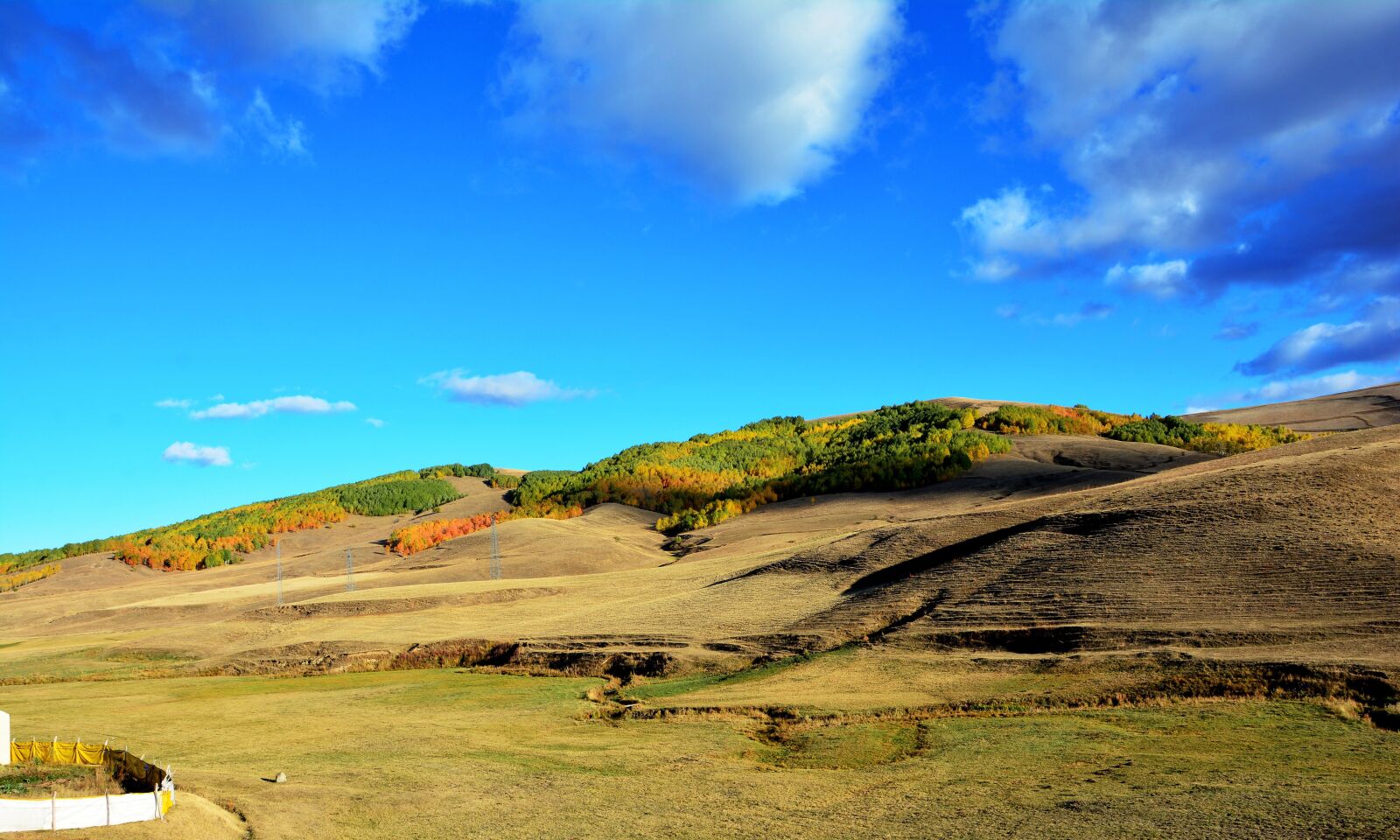 Nikon D7100 sample photo. Autumn, season, nature photography