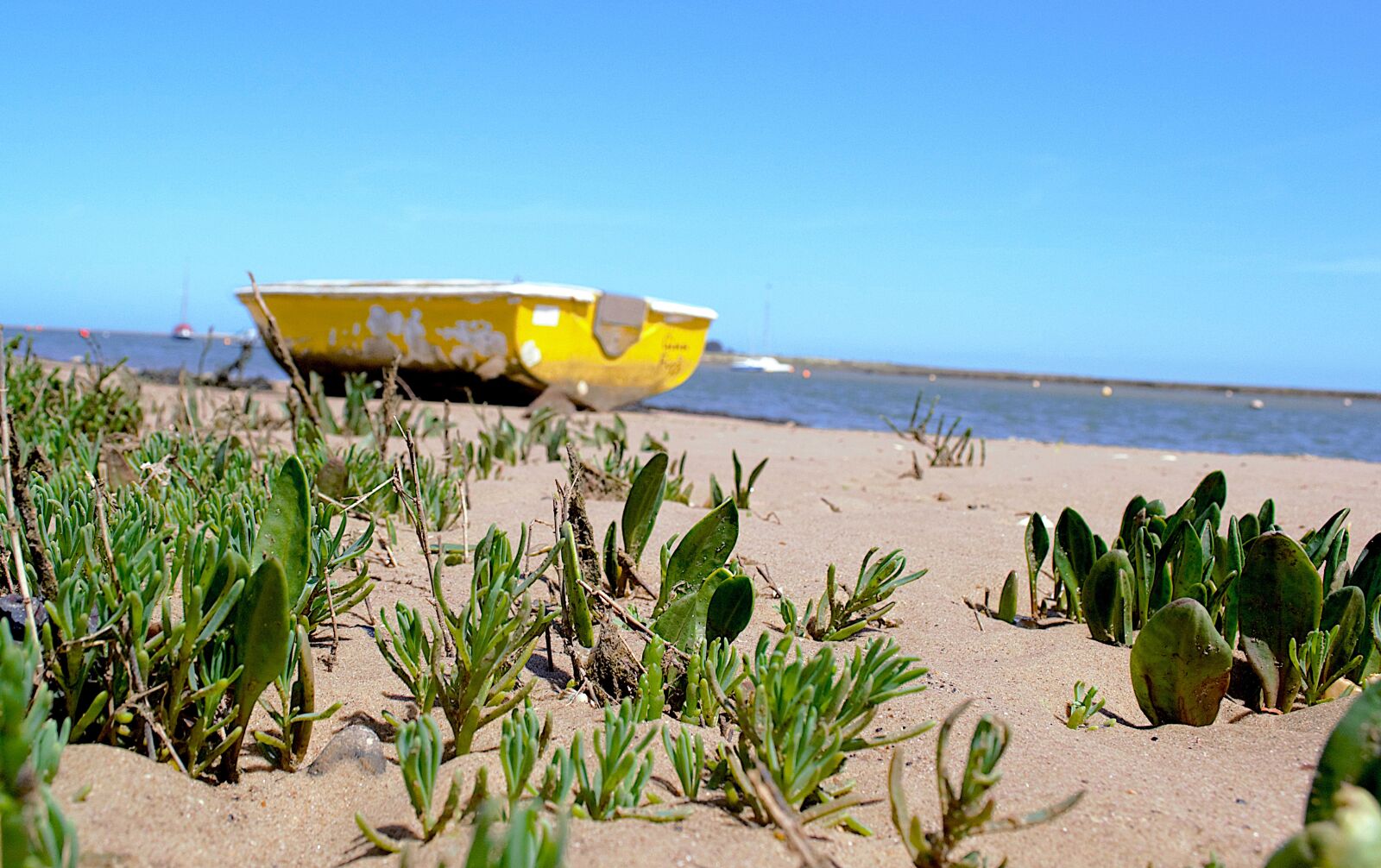 Nikon D3100 sample photo. Sea, boats, seaside photography