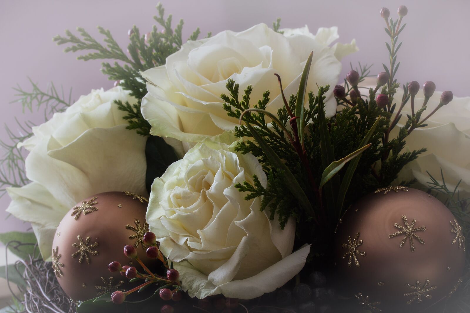 Canon EF-S 60mm F2.8 Macro USM sample photo. Flowers, nature, festive photography