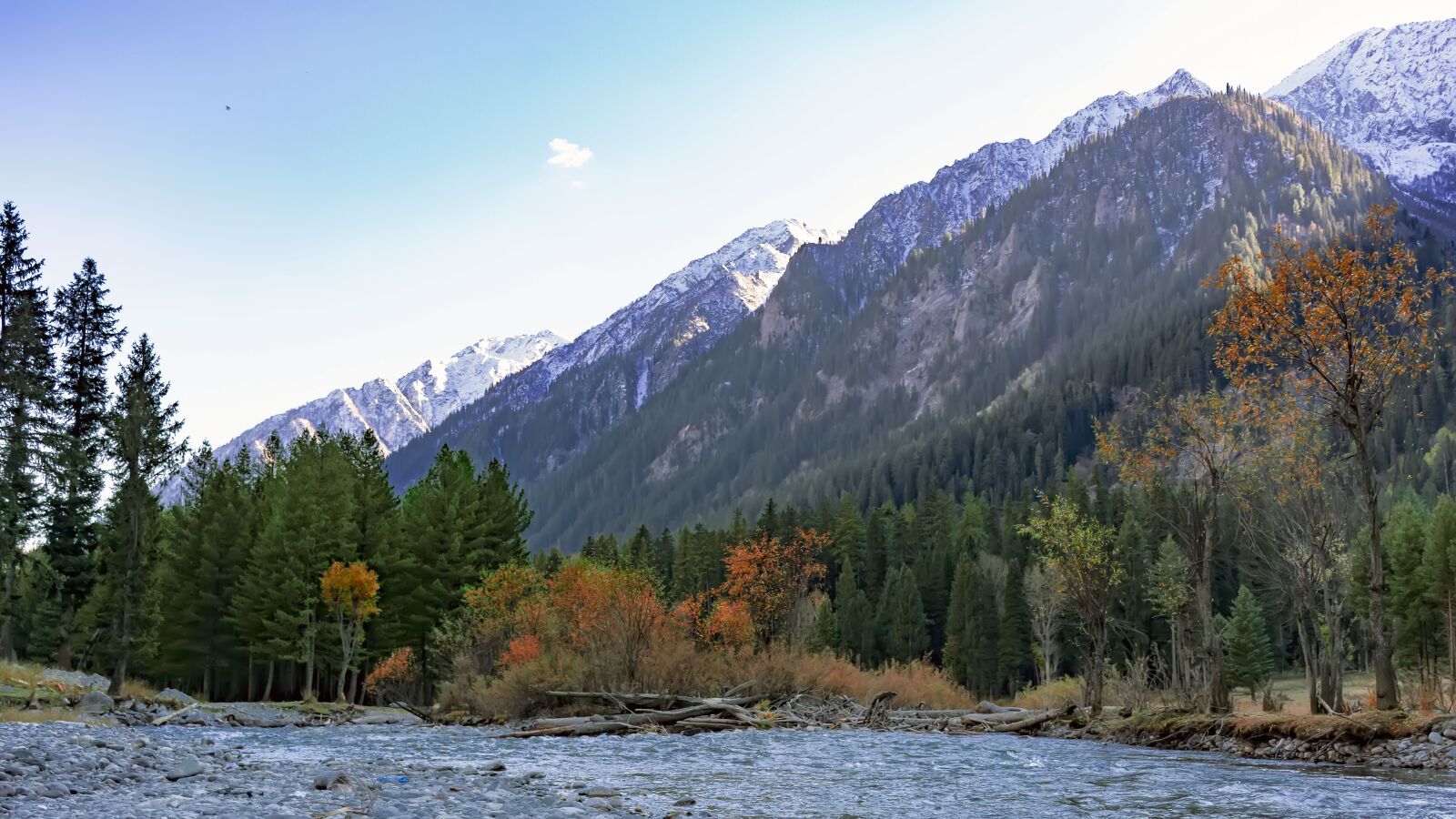 Nikon D7100 sample photo. Autumn, fall, river photography