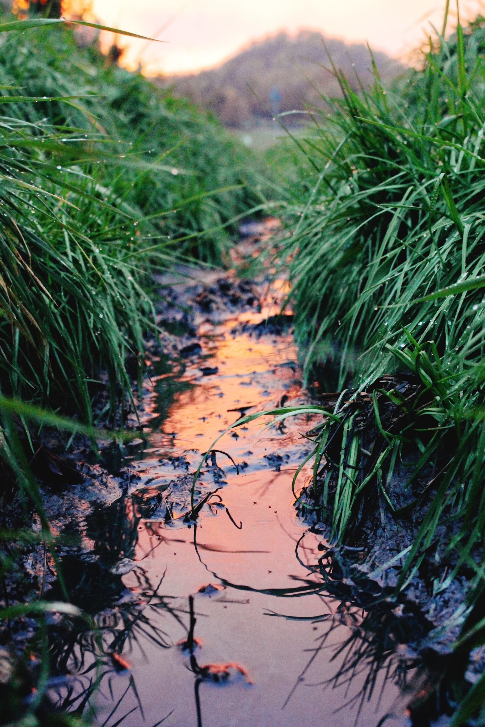 Canon EOS 700D (EOS Rebel T5i / EOS Kiss X7i) sample photo. Sunset, bach, river photography