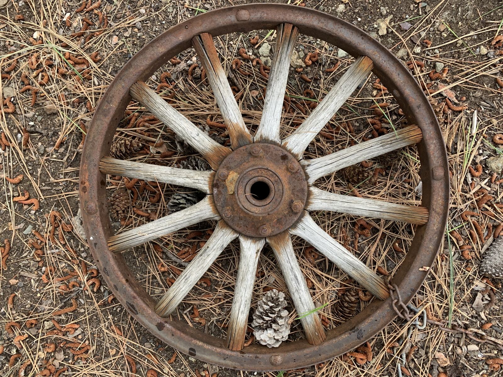 Apple iPhone XR sample photo. Wagon wheel, wheel, round photography