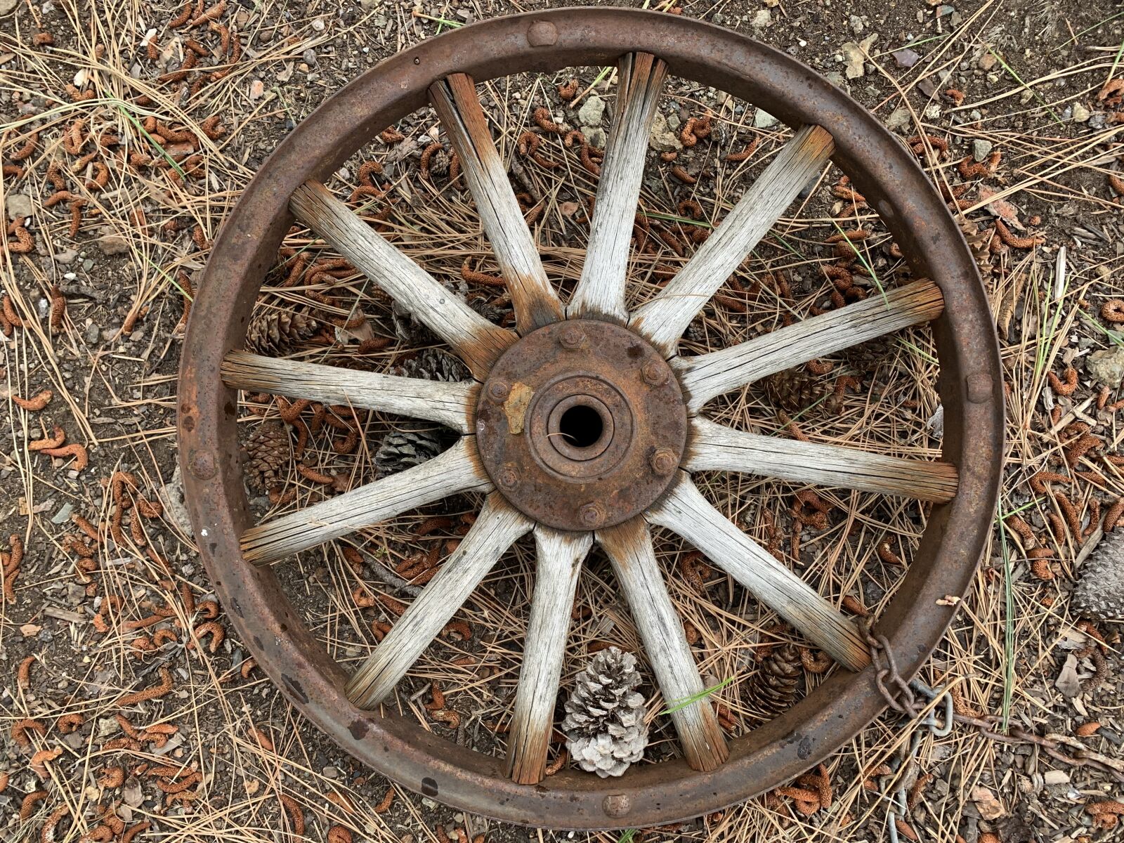 iPhone XR back camera 4.25mm f/1.8 sample photo. Wagon wheel, wheel, round photography