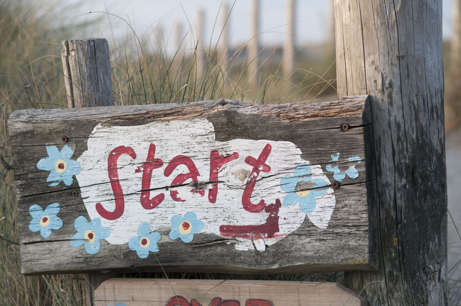 Nikon D300 sample photo. Start, beach, summer photography
