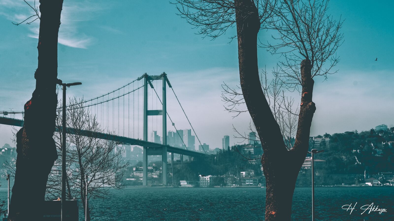Nikon D7000 sample photo. Istanbul, throat, turkey photography