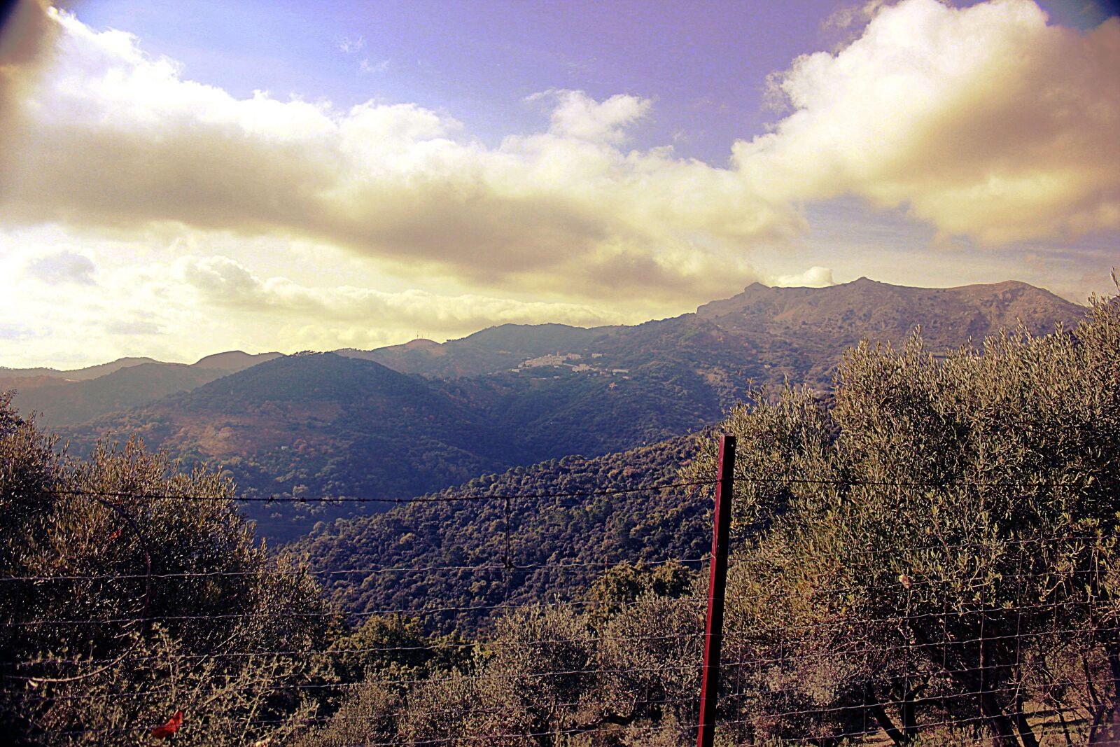 Canon EOS 600D (Rebel EOS T3i / EOS Kiss X5) sample photo. Benalauria, nature, andalusia photography