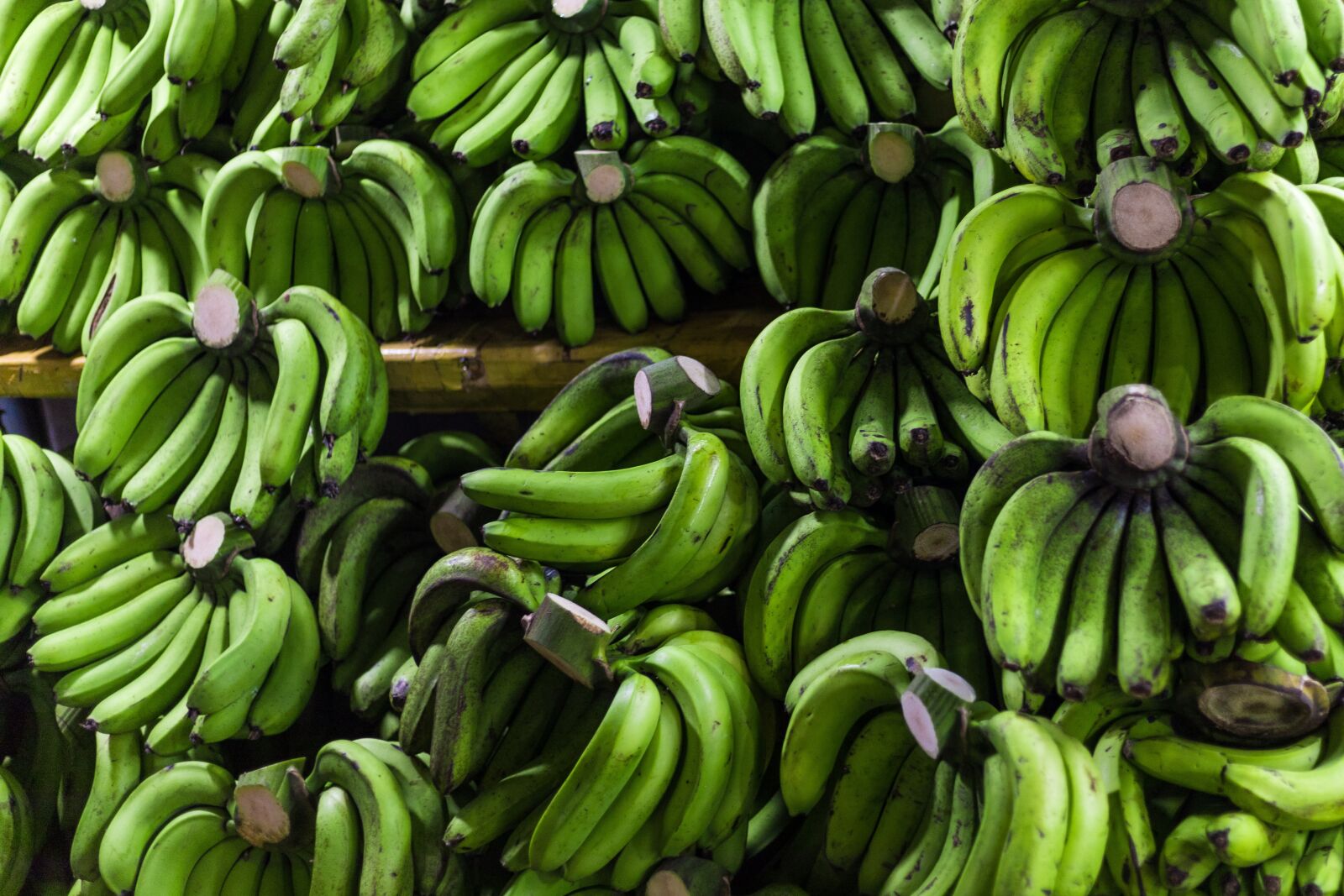 Canon EOS 5D Mark IV sample photo. Banana, dessert banana, fruit photography