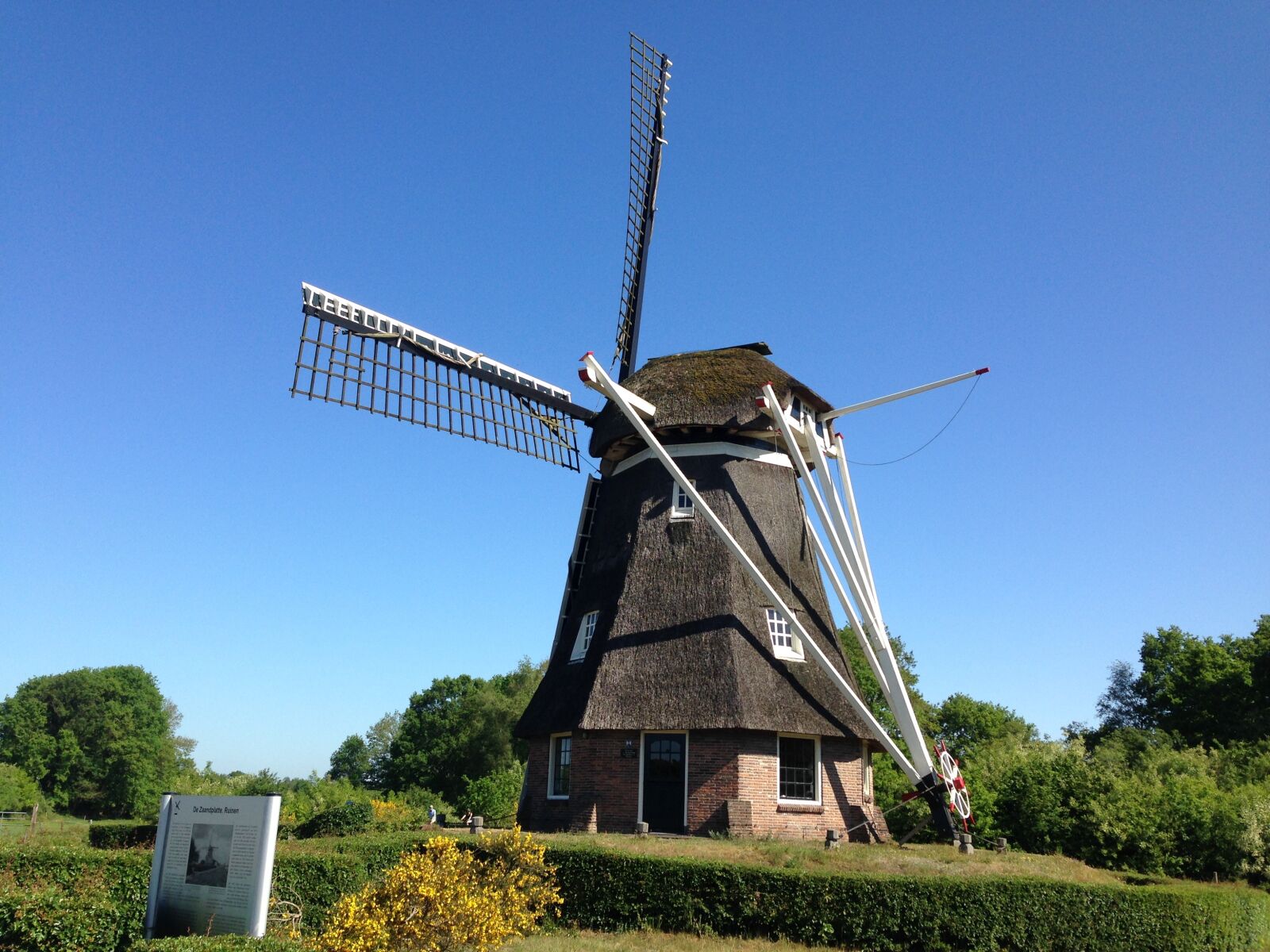 iPhone 5c back camera 4.12mm f/2.4 sample photo. Drenthe, mill, nature photography