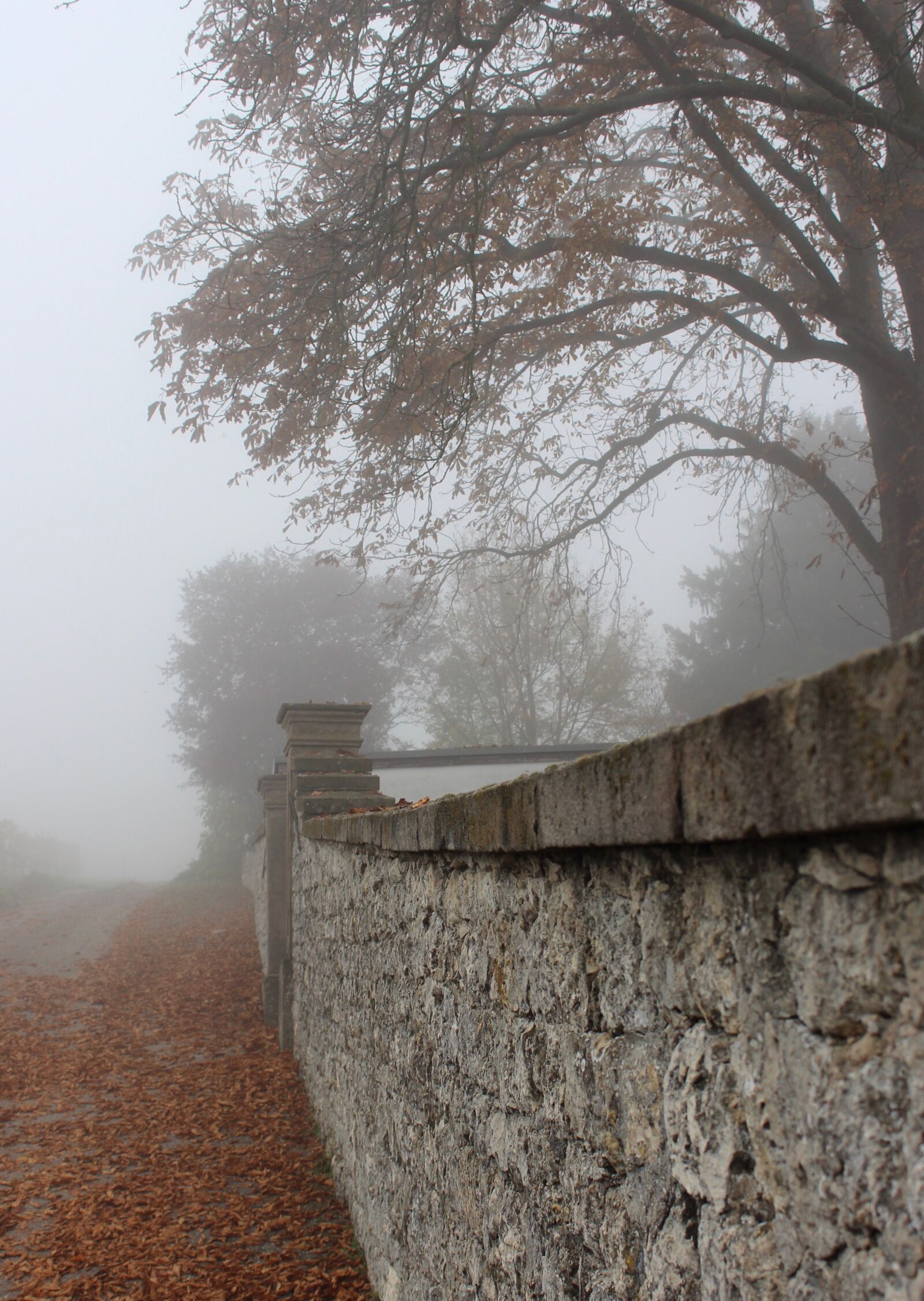 Canon EOS 600D (Rebel EOS T3i / EOS Kiss X5) sample photo. Autumn, wall, cemetery photography