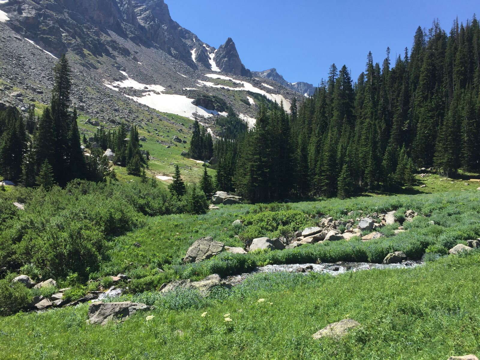 iPhone 6 back camera 4.15mm f/2.2 sample photo. Landscape, montana, trip photography