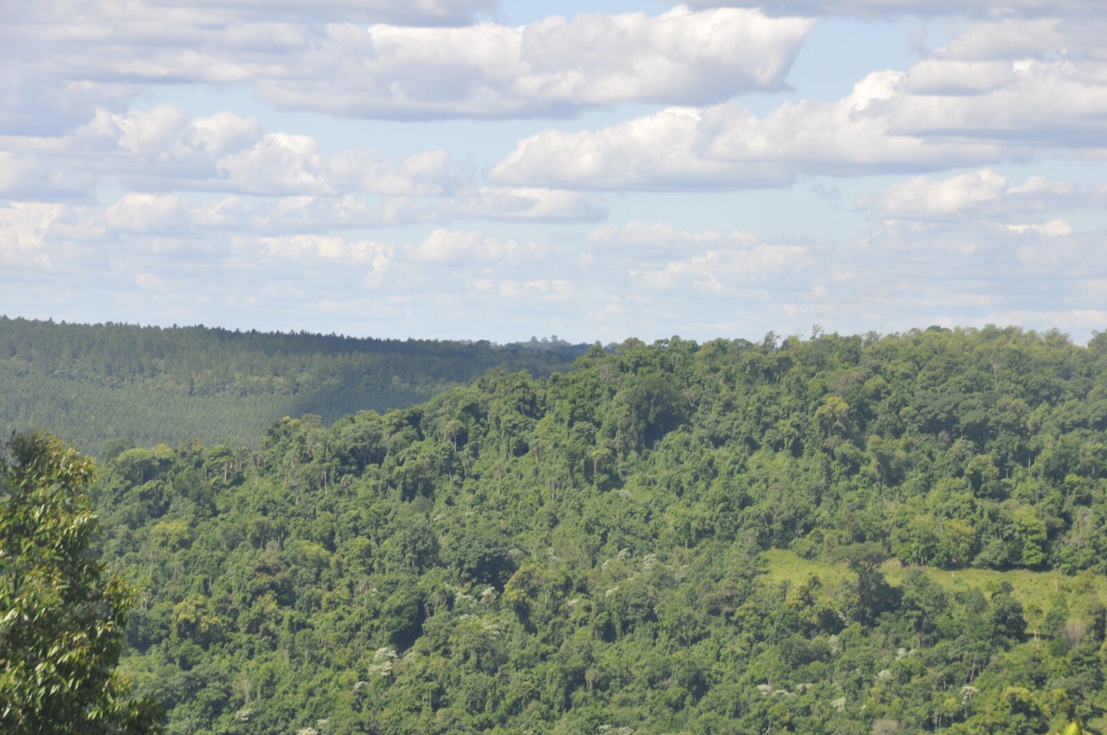 Nikon D90 sample photo. Misiones, argentina, alberdi photography