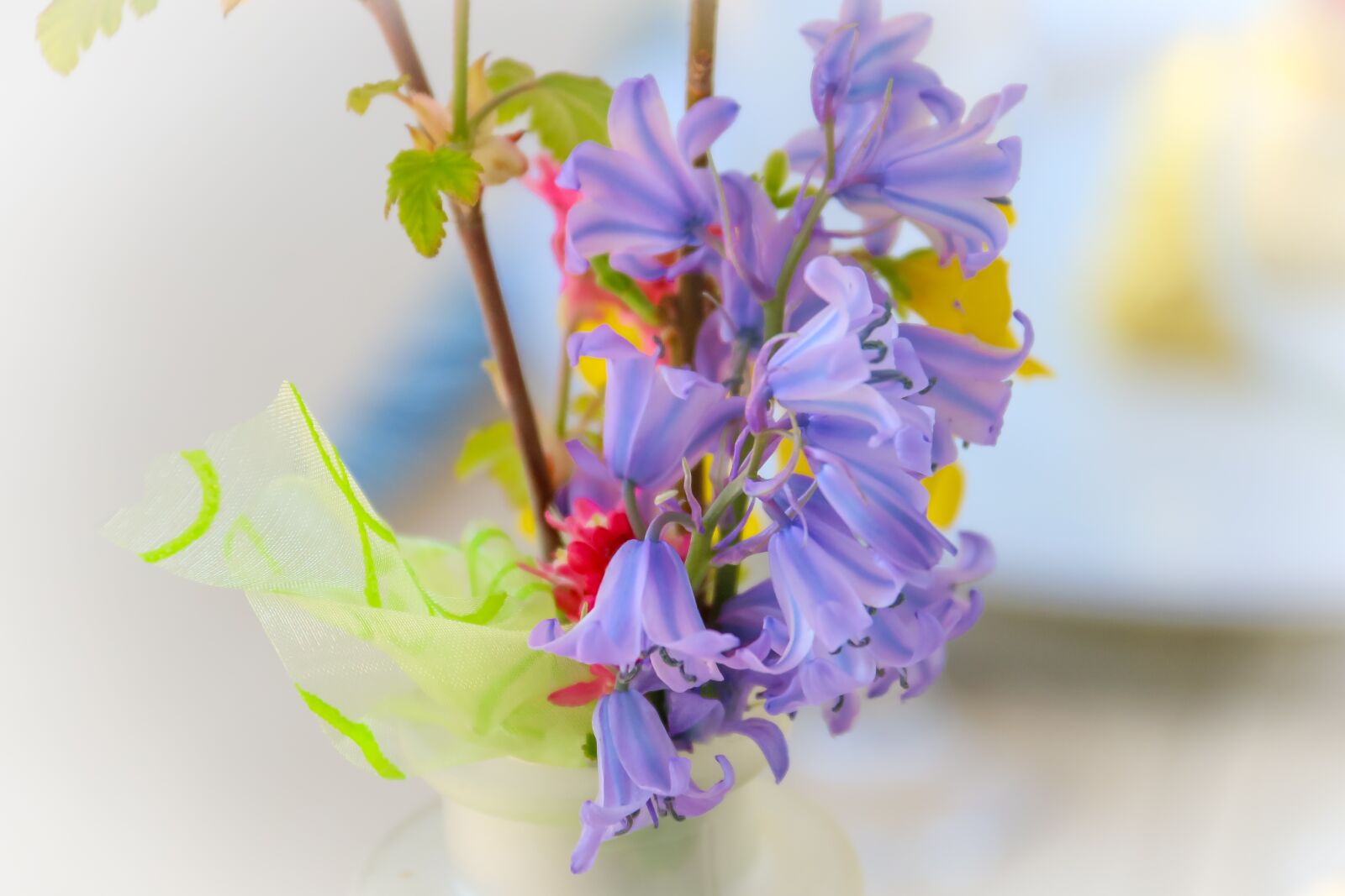 Canon EOS 70D sample photo. Bouquet, flowers, spring photography