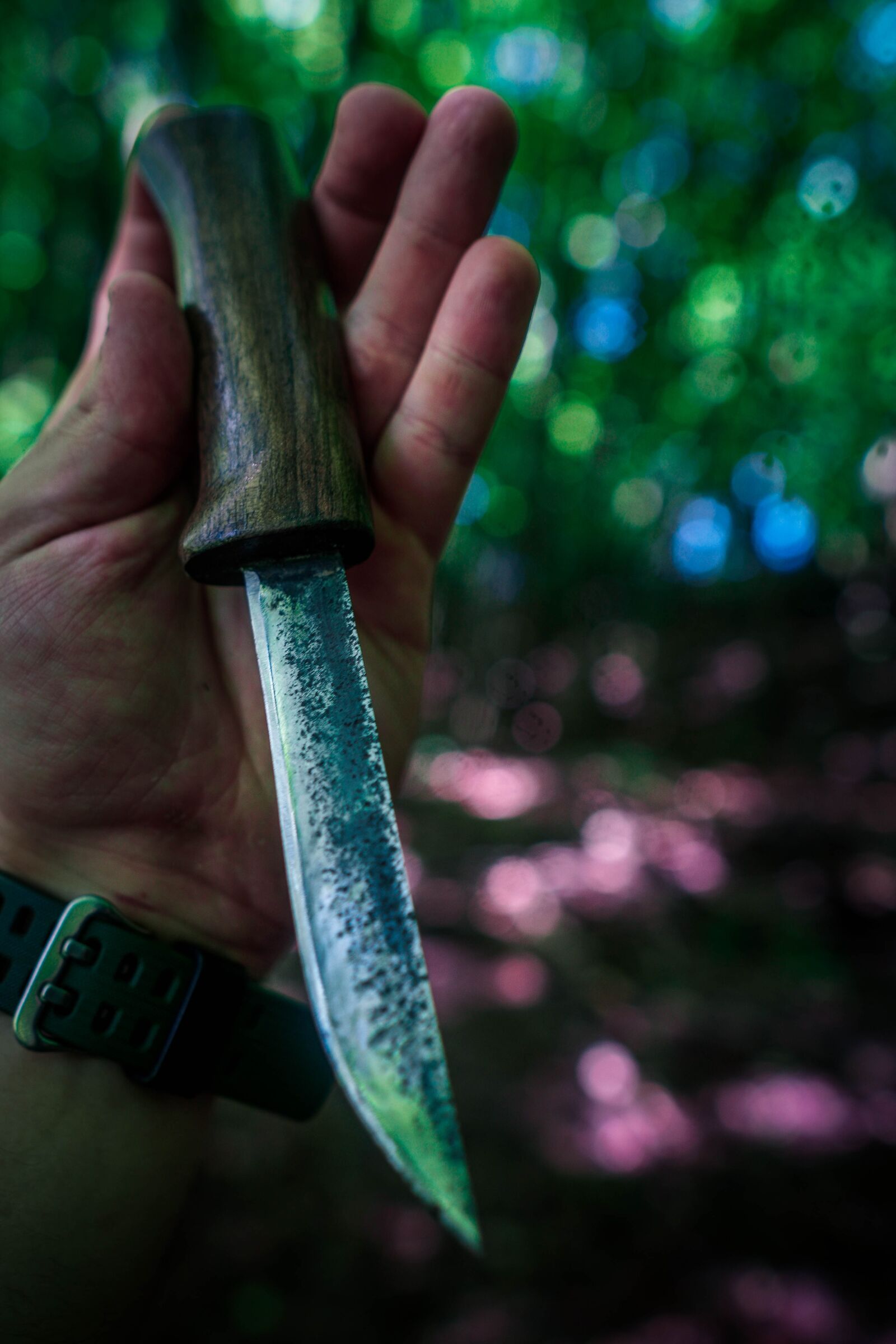 Sony a6400 + Sigma 16mm F1.4 DC DN | C sample photo. Nature, fire, knife photography