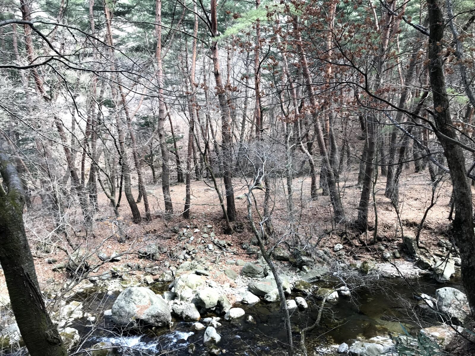 iPhone 7 back camera 3.99mm f/1.8 sample photo. Winter, mountain, climbing photography