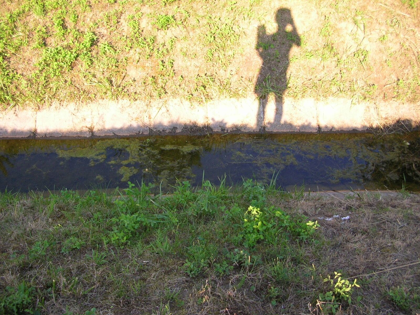 Nikon E4100 sample photo. Shadow, light and shadow photography