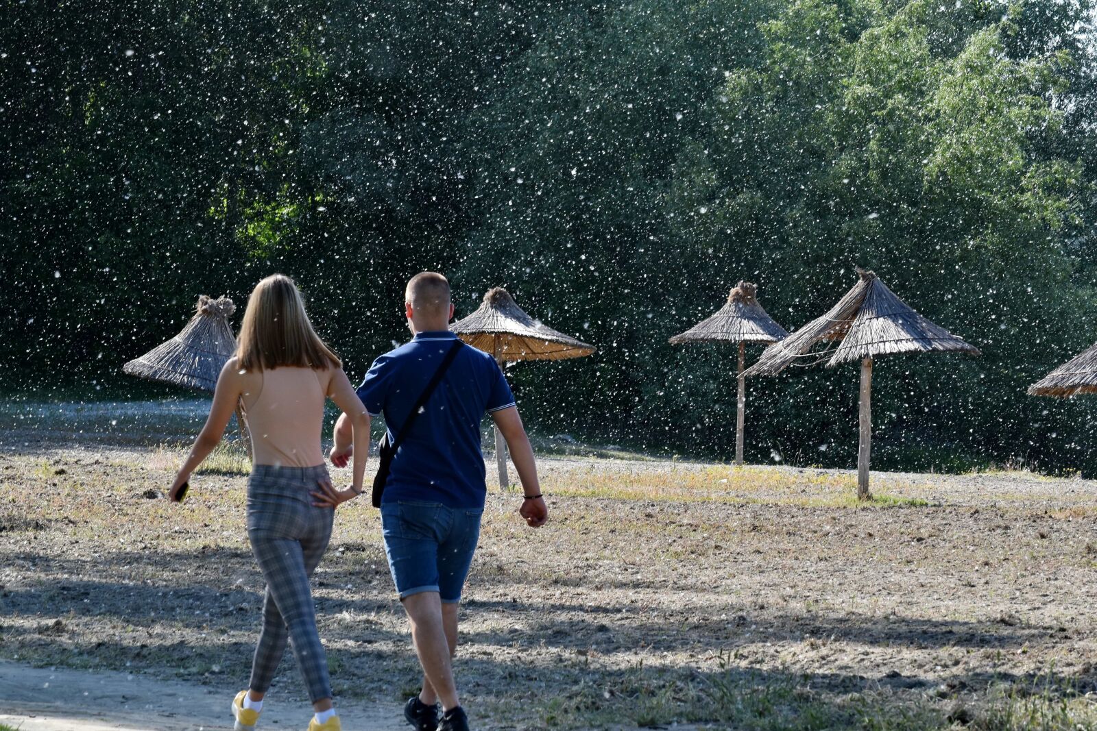 Nikon D5500 sample photo. Beach, beach grass, boyfriend photography