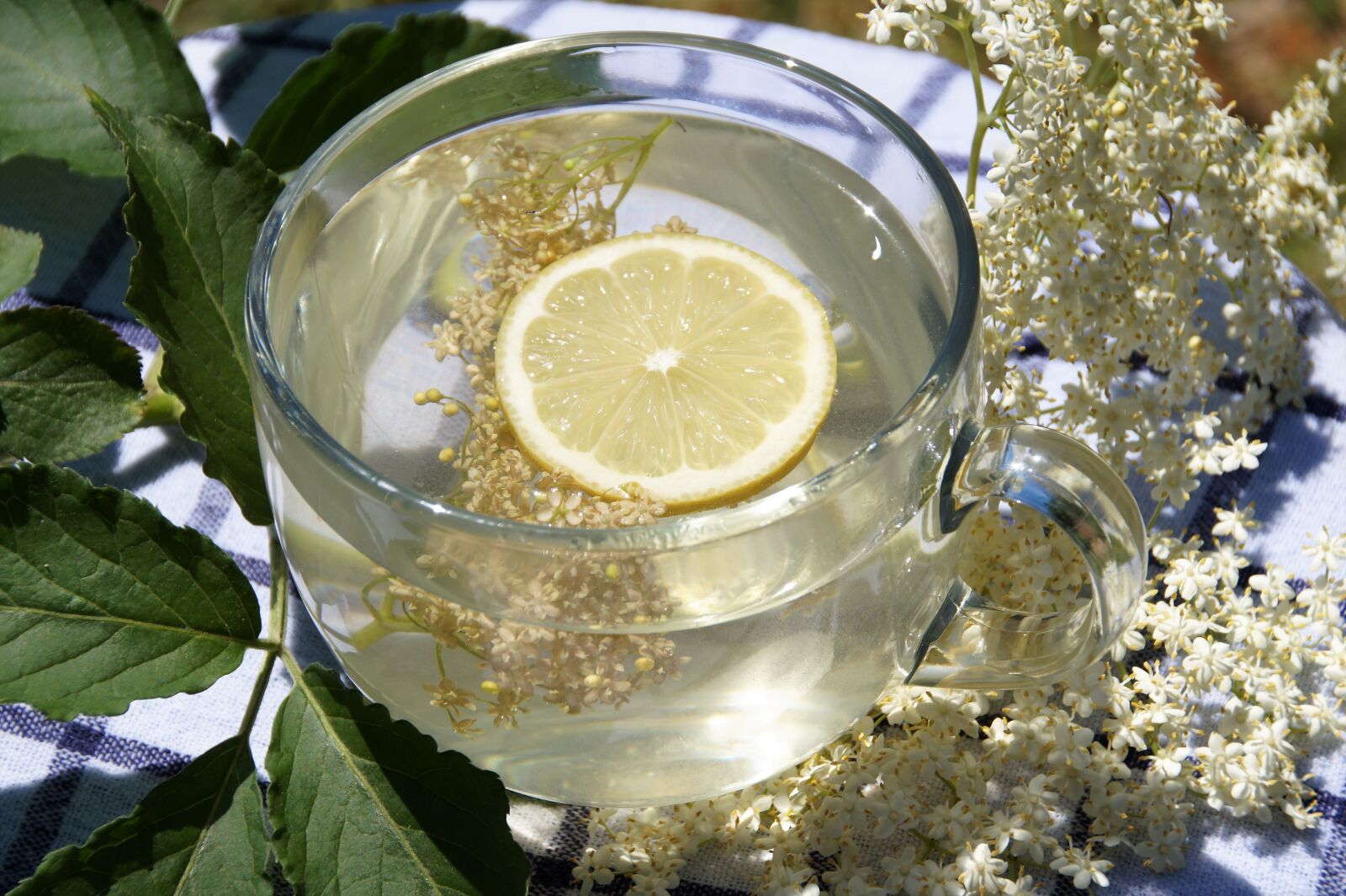 Sony SLT-A58 sample photo. Elderberry, tea, drink photography